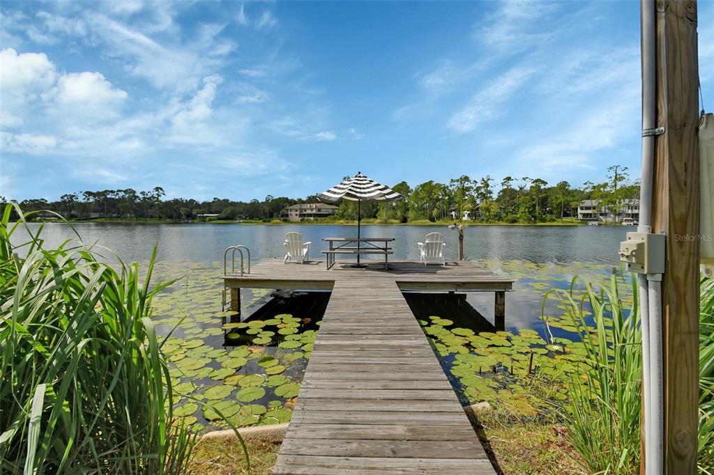 Deland, Florida, 32724, United States, 4 Bedrooms Bedrooms, ,2 BathroomsBathrooms,Residential,For Sale,1917244