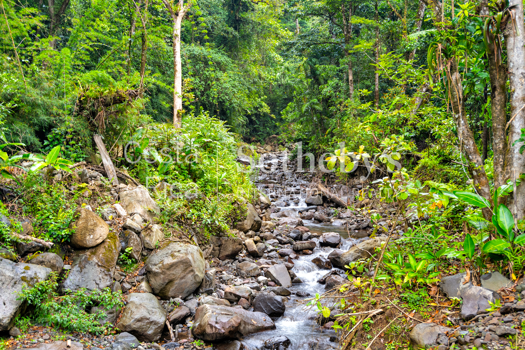  Hacienda Ecológica Río Toro - 物件實景