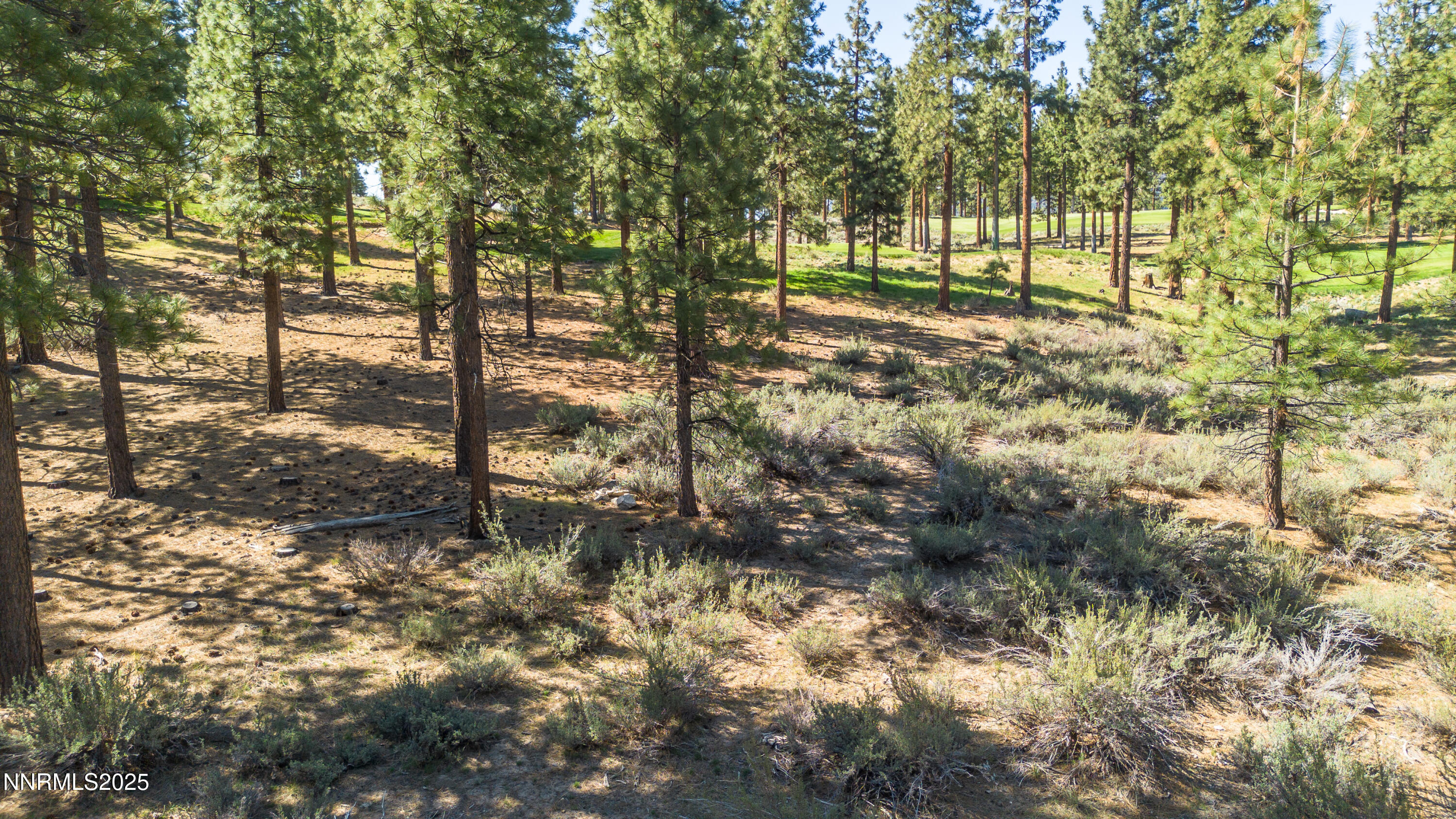 Carson City, Nevada, 89705, United States, ,Land,For Sale,1846834