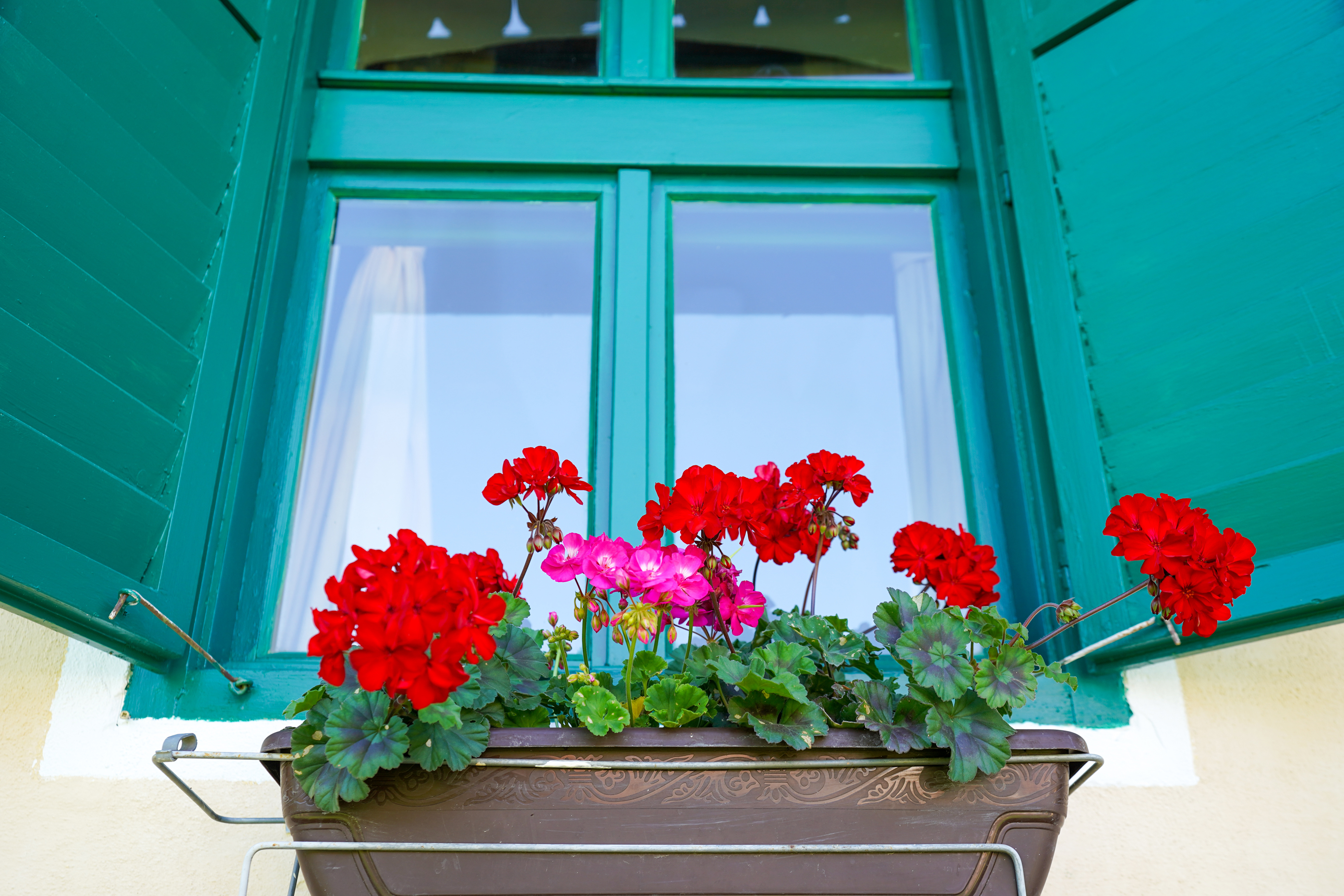  Restored Authentic Saxon House in Viscri, Between Heritage and Nature - 物件實景