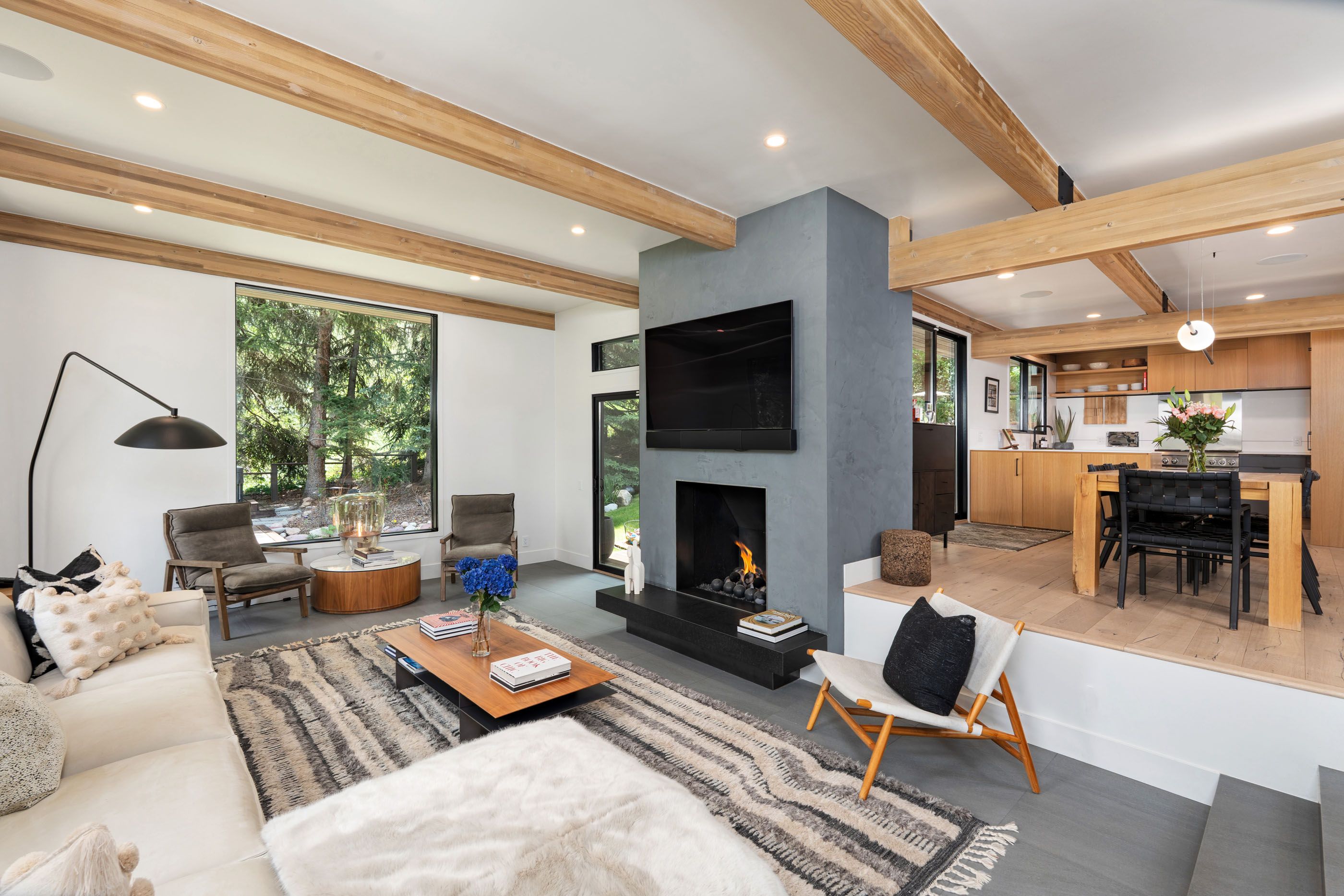  1235 Red Butte Drive, Aspen, CO 81611 - 物件實景