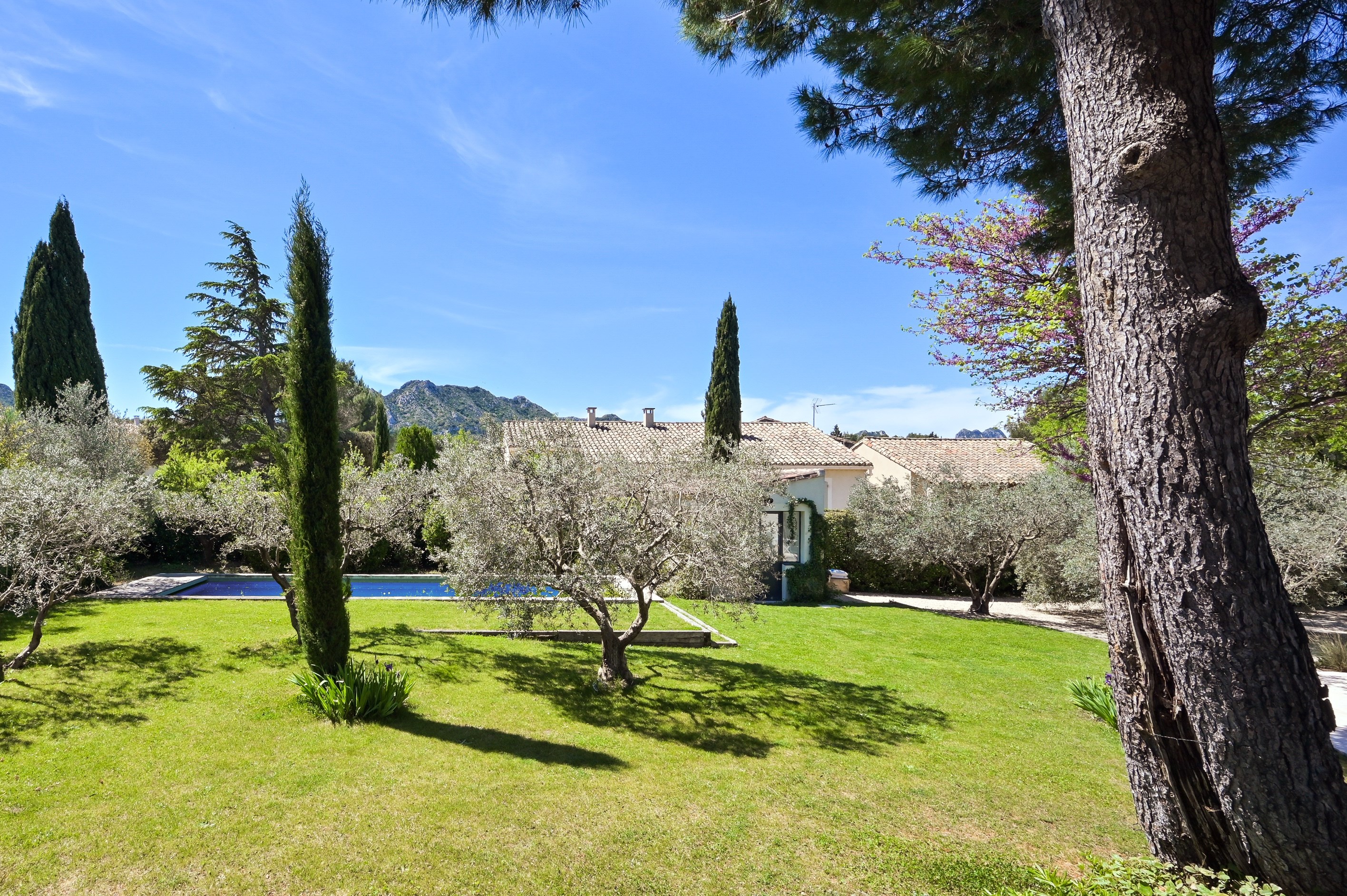  Exclusive. Rare in Eygalières, beautiful renovated house in the village center … - 物件實景