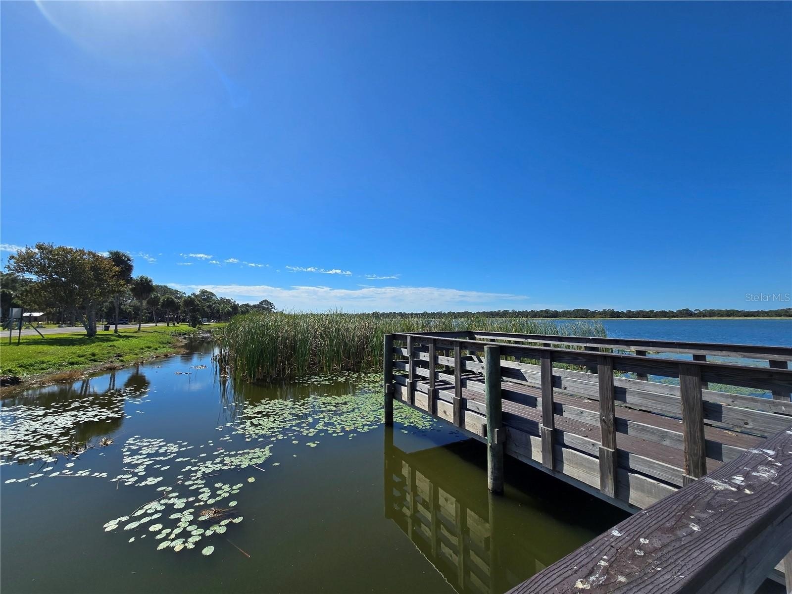 ST PETERSBURG, Florida, 33705, United States, 3 Bedrooms Bedrooms, ,2 BathroomsBathrooms,Residential,For Sale,1989946