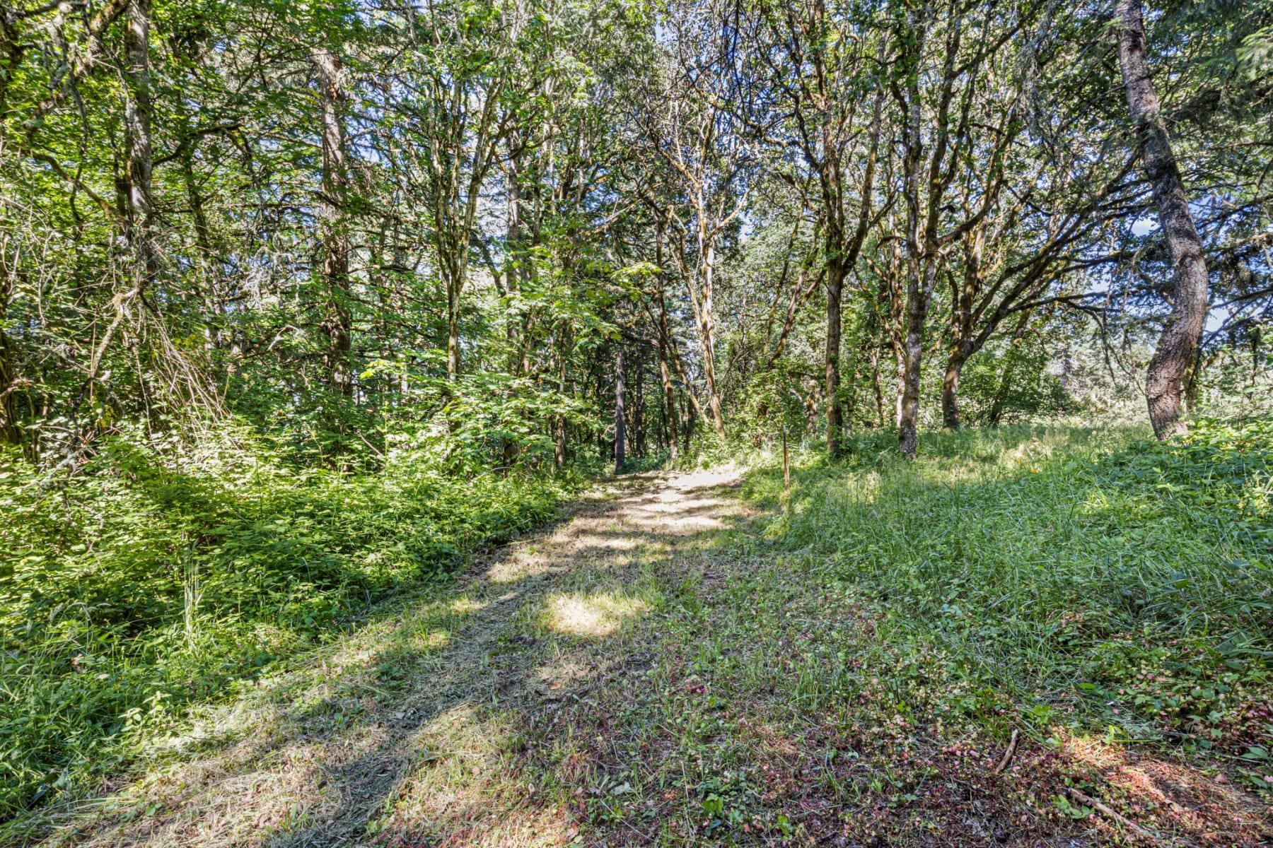  NE Santiam WAY Albany, OR 97322 - 物件實景