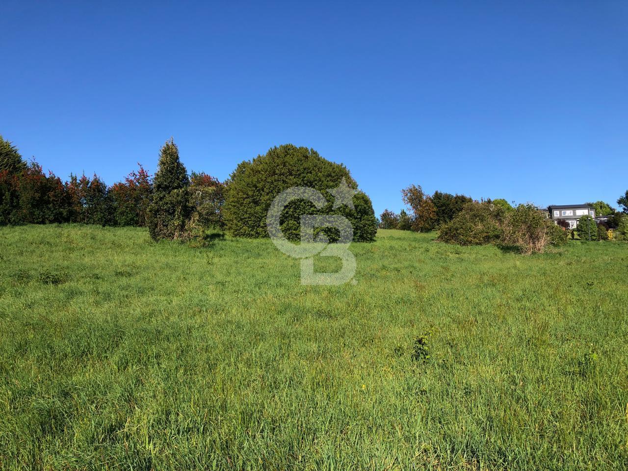 Puerto Varas, Chile, ,Residential,For Sale,1986771