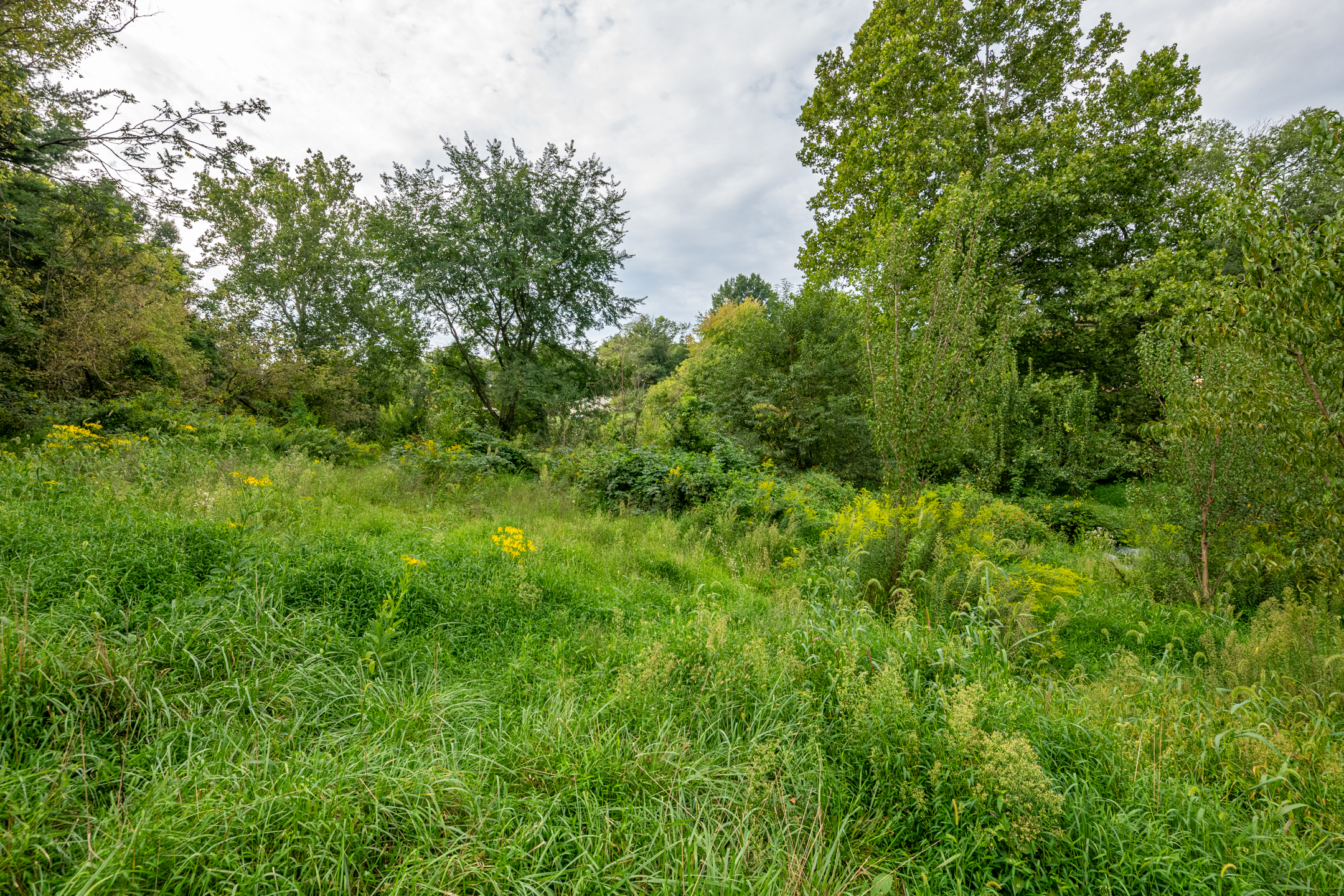  0 River Rd, Pequea, PA 17565 - 物件實景