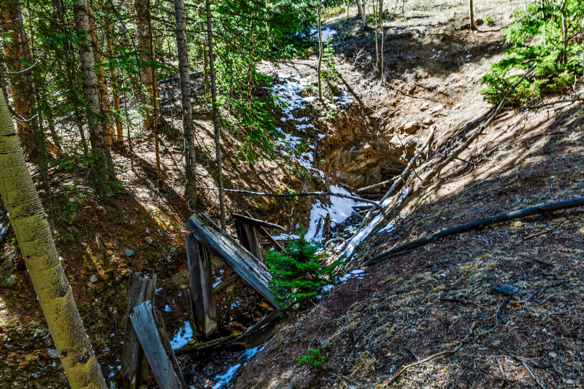  270 Co Rd 667, Alma, CO, 80440 - 物件實景