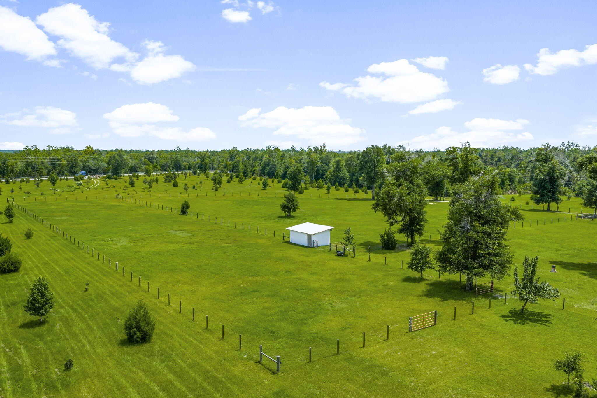 Youngstown, Florida, 32466, United States, 6 Bedrooms Bedrooms, ,6 BathroomsBathrooms,Residential,For Sale,1981831