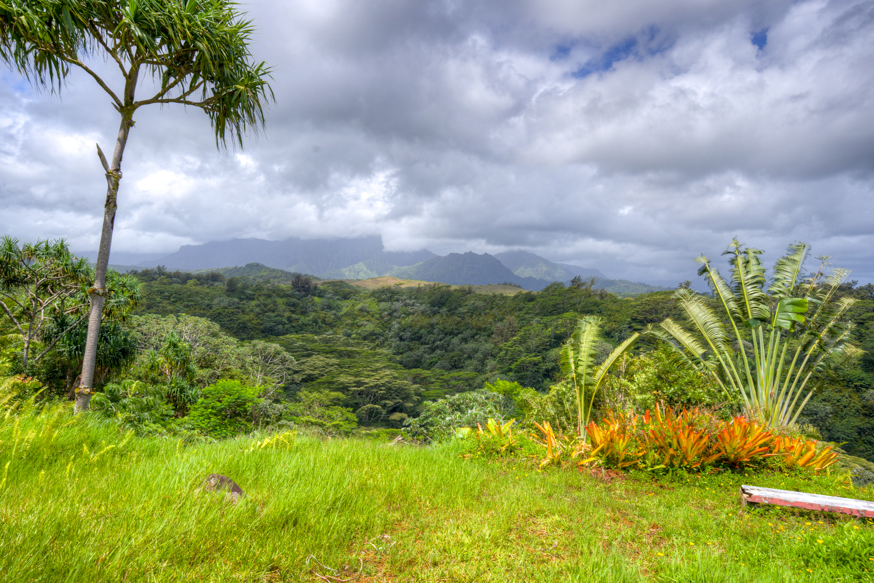  5250-D Kahiliholo Rd, Kilauea, HI, 96754 - 物件實景