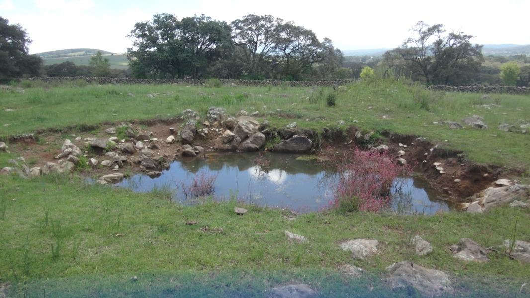 Rancho Tecolapan, Jilotepec, Estado de México, 54270, Mexico, 1 Bedroom Bedrooms, ,Residential,For Sale,Rancho Tecolapan,1443404