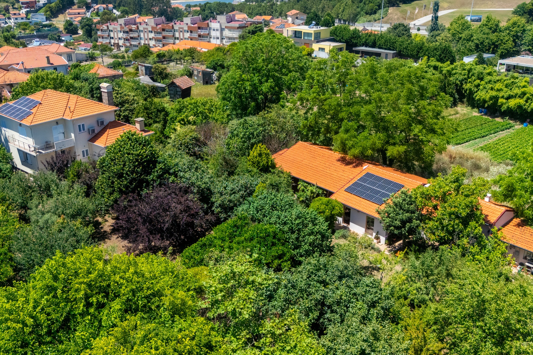  Detached house, 7 bedrooms, for Sale - 物件實景
