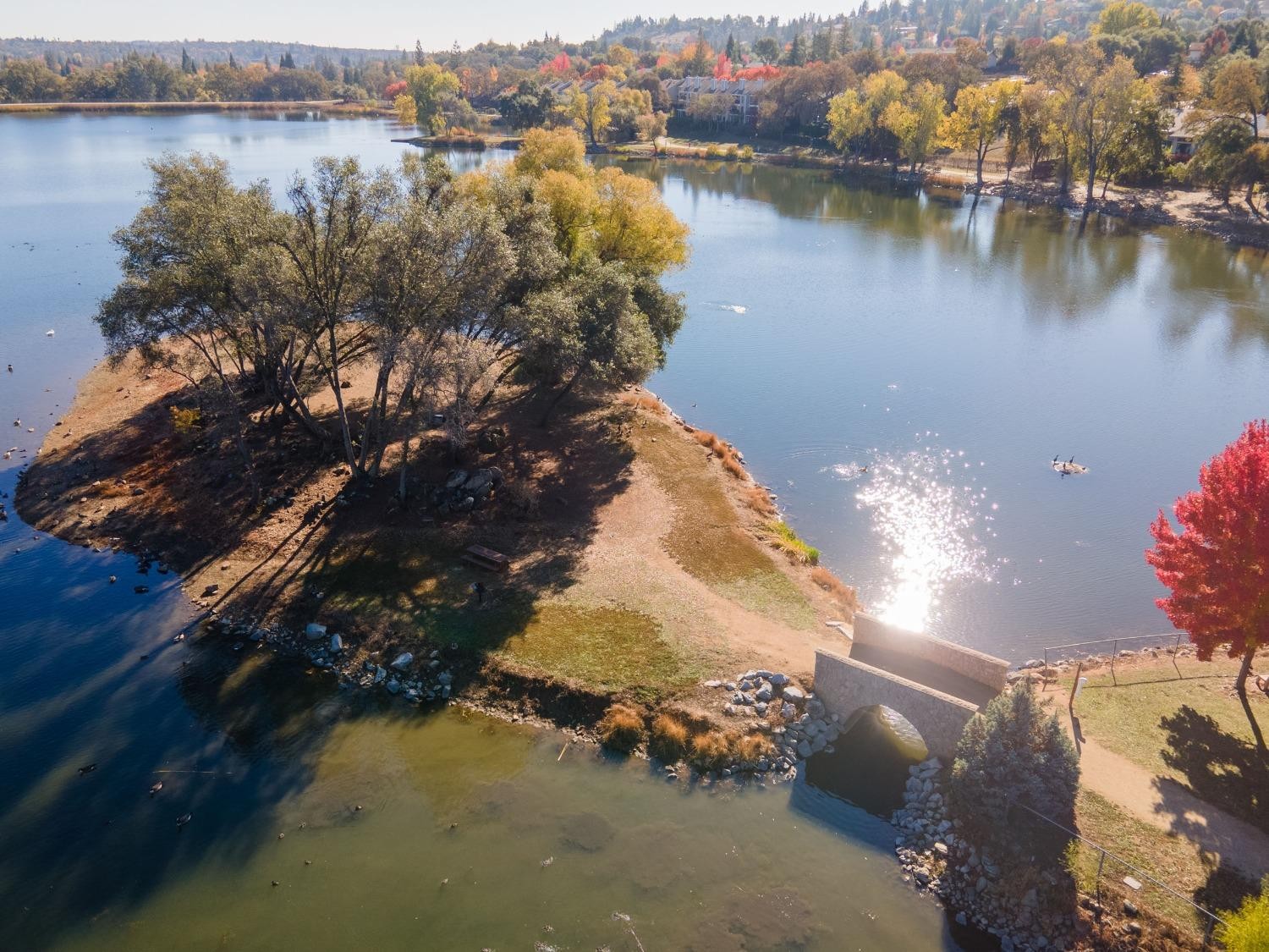 3705 Chelsea Road, Cameron Park, California, 95682, United States, 3 Bedrooms Bedrooms, ,2 BathroomsBathrooms,Residential,For Sale,3705 Chelsea Road,1627321