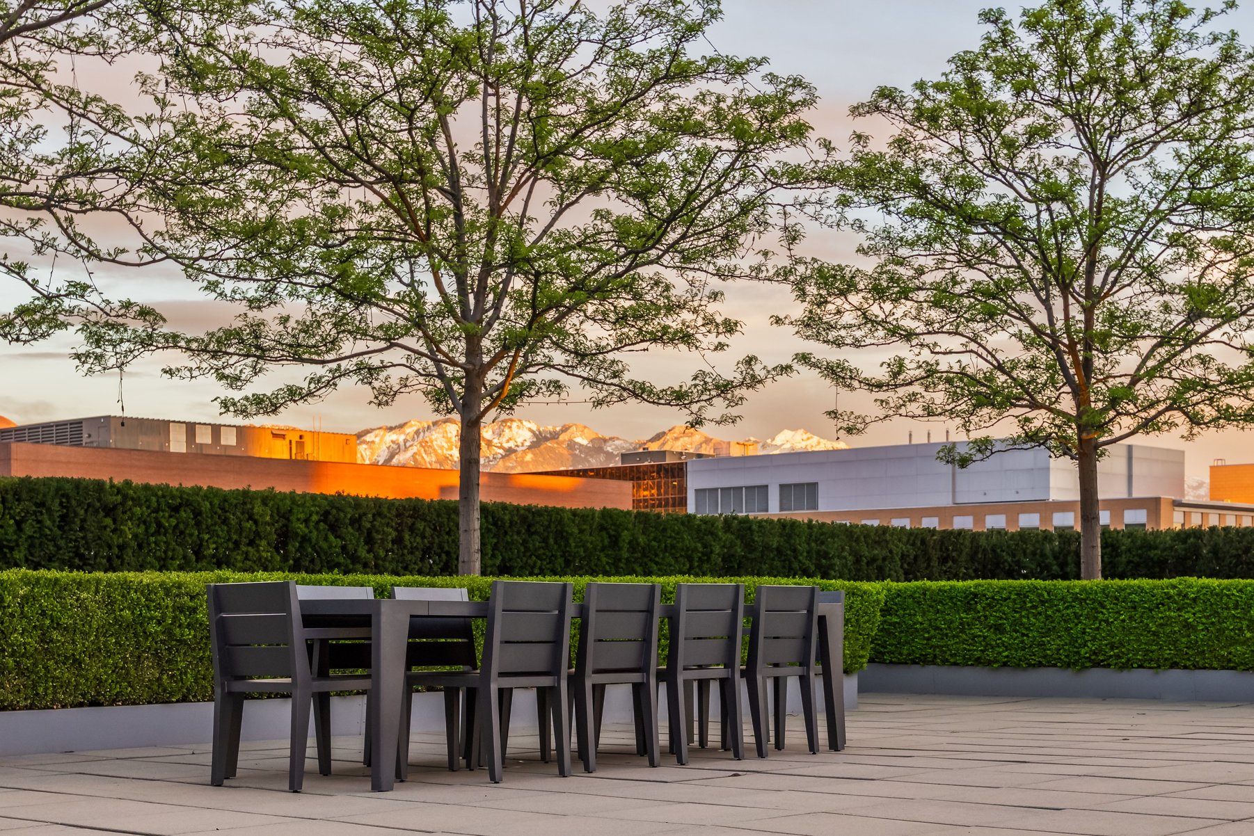 A Downtown Salt Lake City Rooftop Oasis - 物件實景