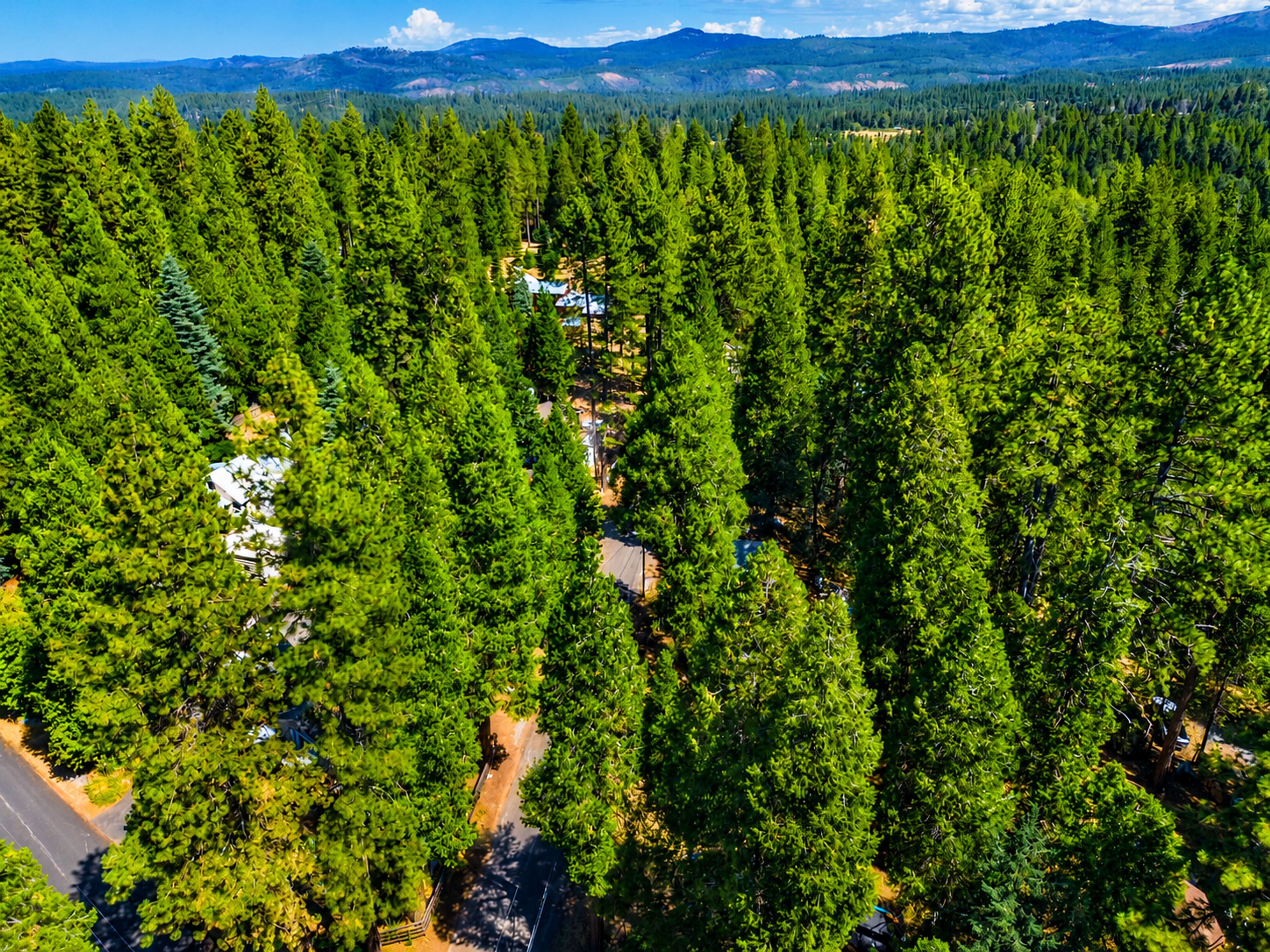  4934 Cedar Drive, Camino, CA 95709 - 物件實景
