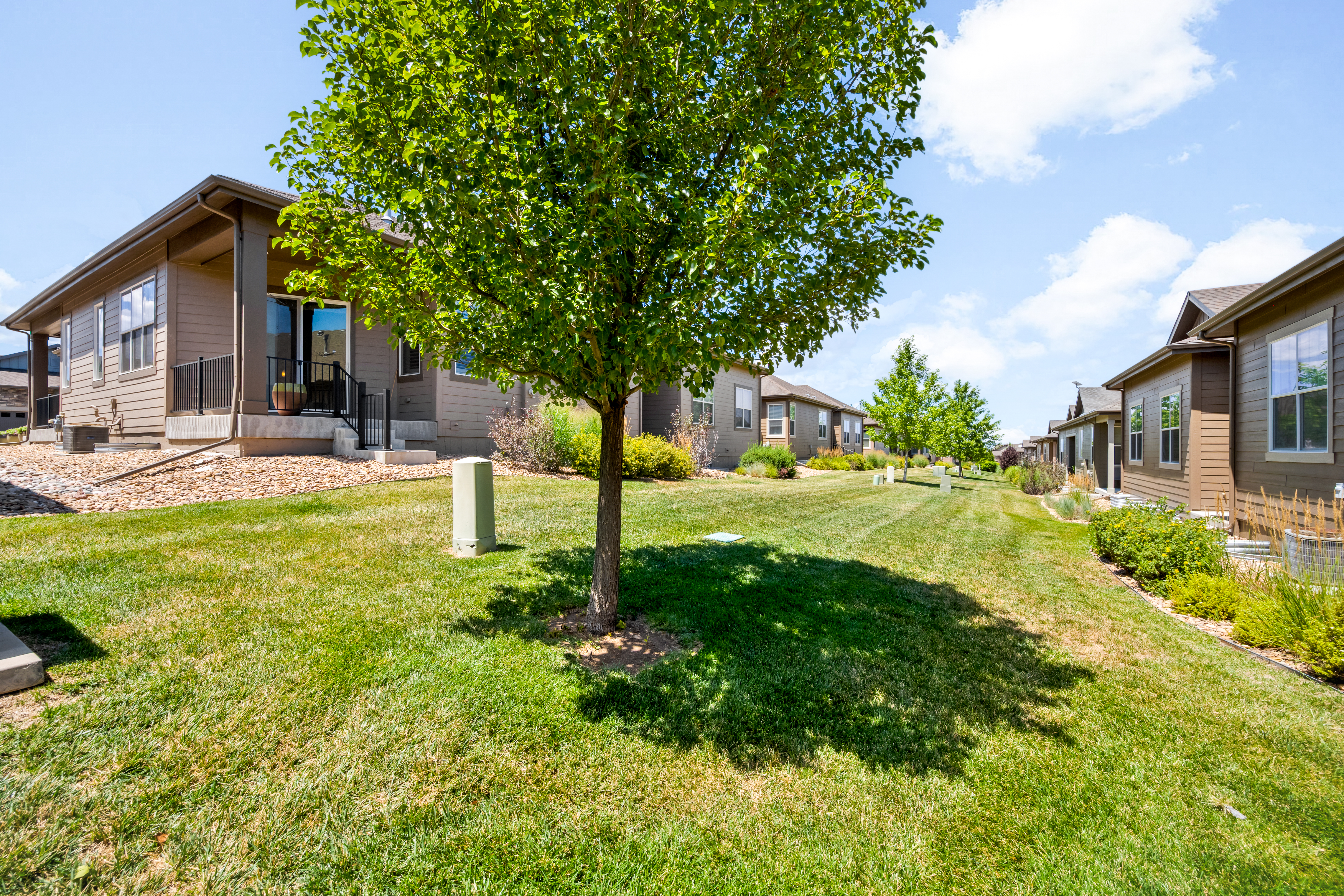 3566 New Haven Circle, Castle Rock, CO, 80109 - 物件實景