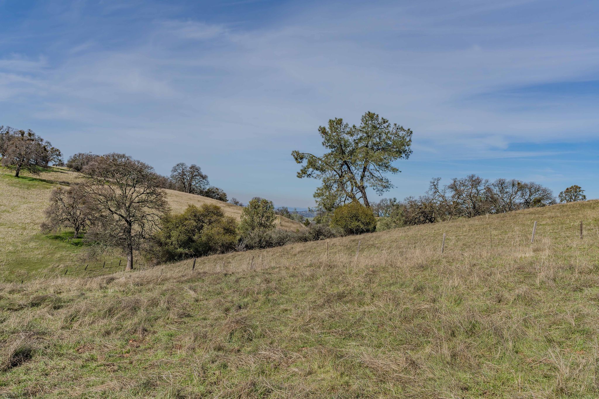  0 Old Hwy 49, Sutter Creek, CA 95685 - 物件實景