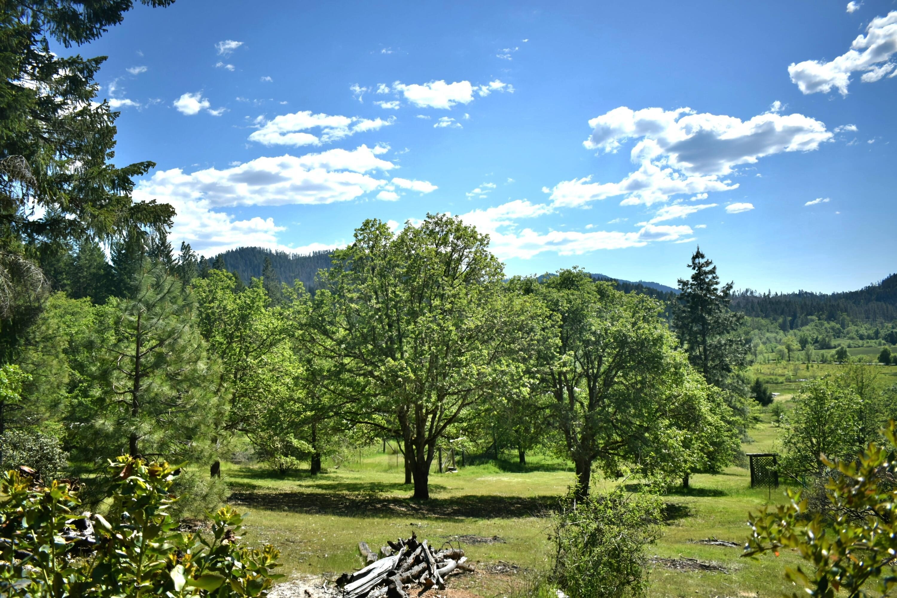 Cave Junction, Oregon, 97523, United States, 3 Bedrooms Bedrooms, ,3 BathroomsBathrooms,Residential,For Sale,1975674