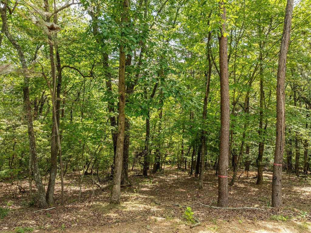 Talking Rock, Georgia, 30175, United States, 3 Bedrooms Bedrooms, ,2 BathroomsBathrooms,Residential,For Sale,1972069