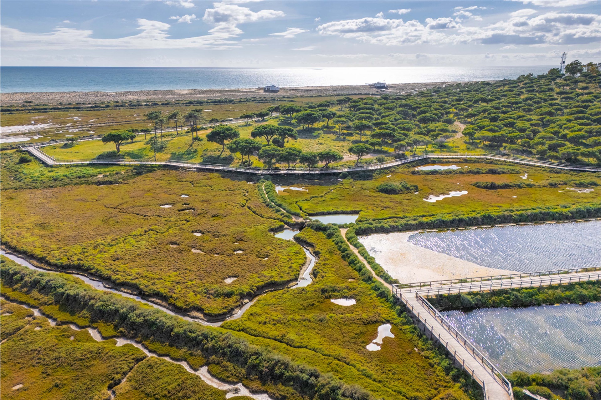  Detached house, 5 bedrooms, for Sale - 物件實景