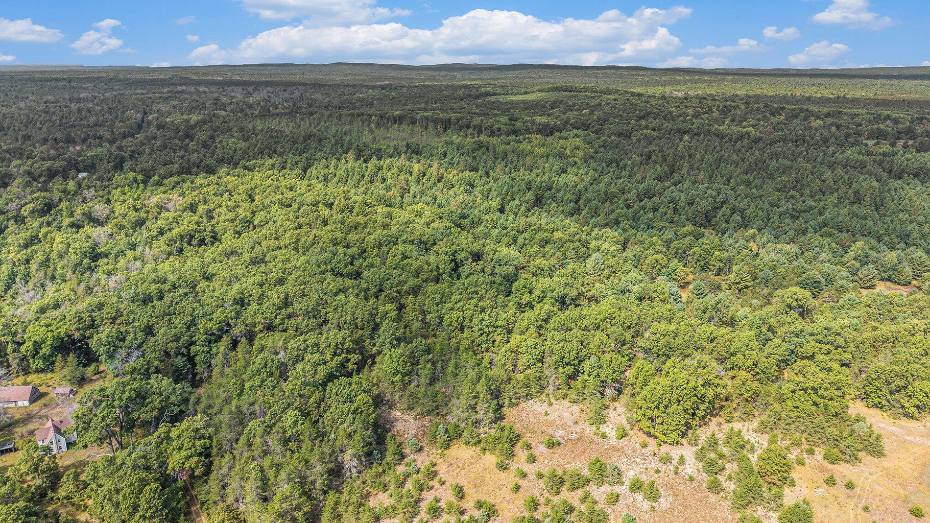 Baldwin, Michigan, 49304, United States, 3 Bedrooms Bedrooms, ,2 BathroomsBathrooms,Residential,For Sale,1990507