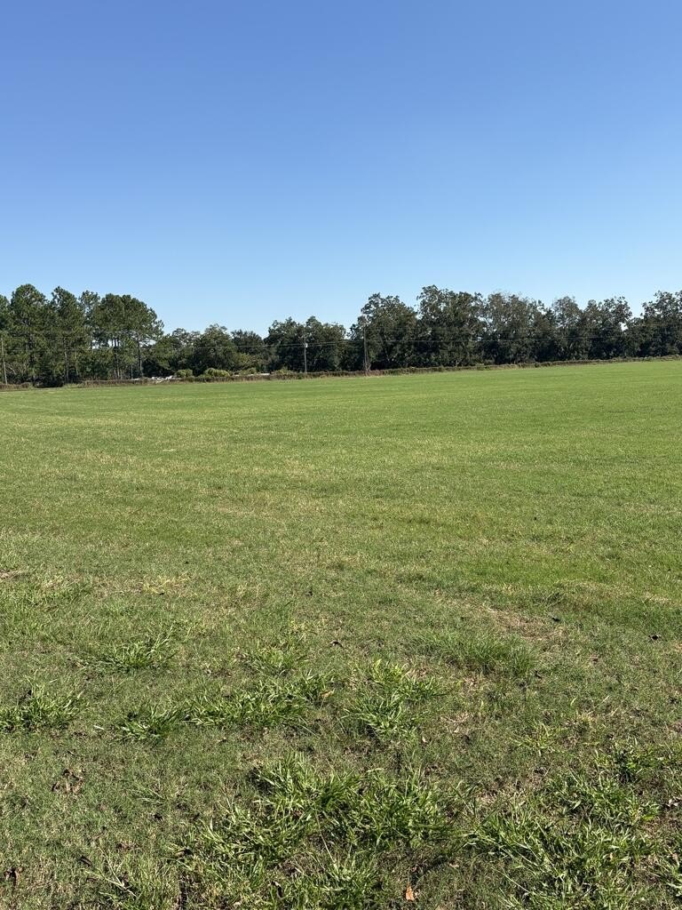 Attapulgus Whigham Rd, Whigham, GA 39897 #1