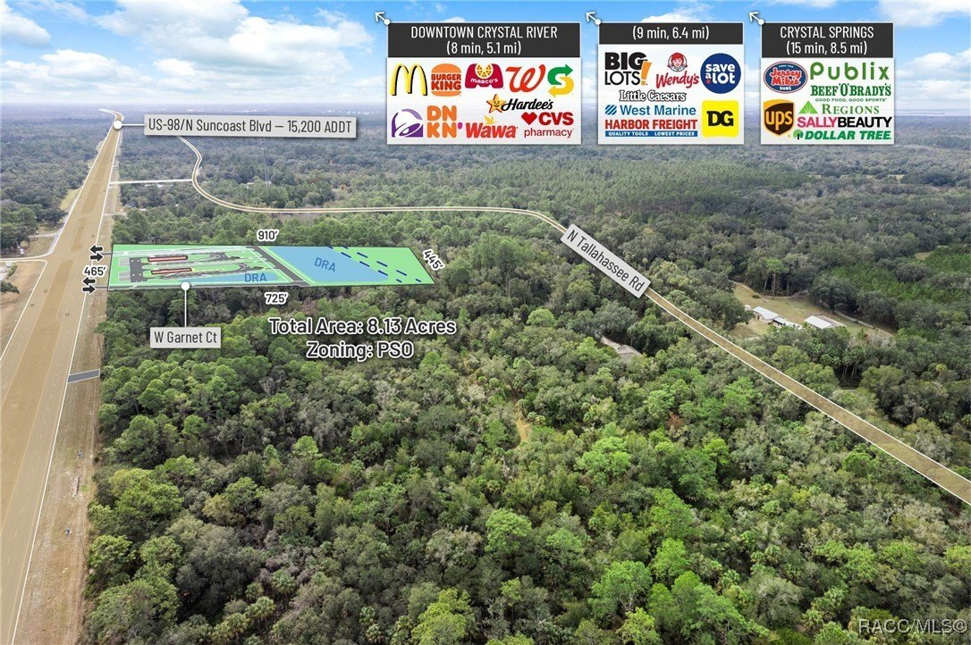 Crystal River, Florida, 34428, United States, ,Land,For Sale,2006050