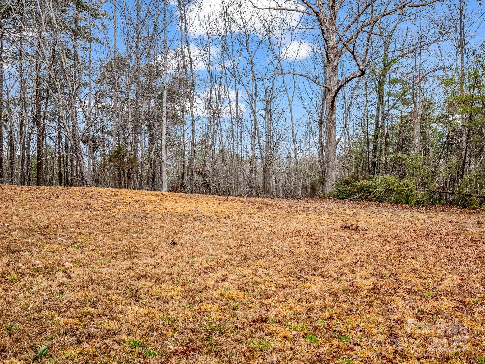 Tryon, North Carolina, 28782, United States, 3 Bedrooms Bedrooms, ,3 BathroomsBathrooms,Residential,For Sale,1914203