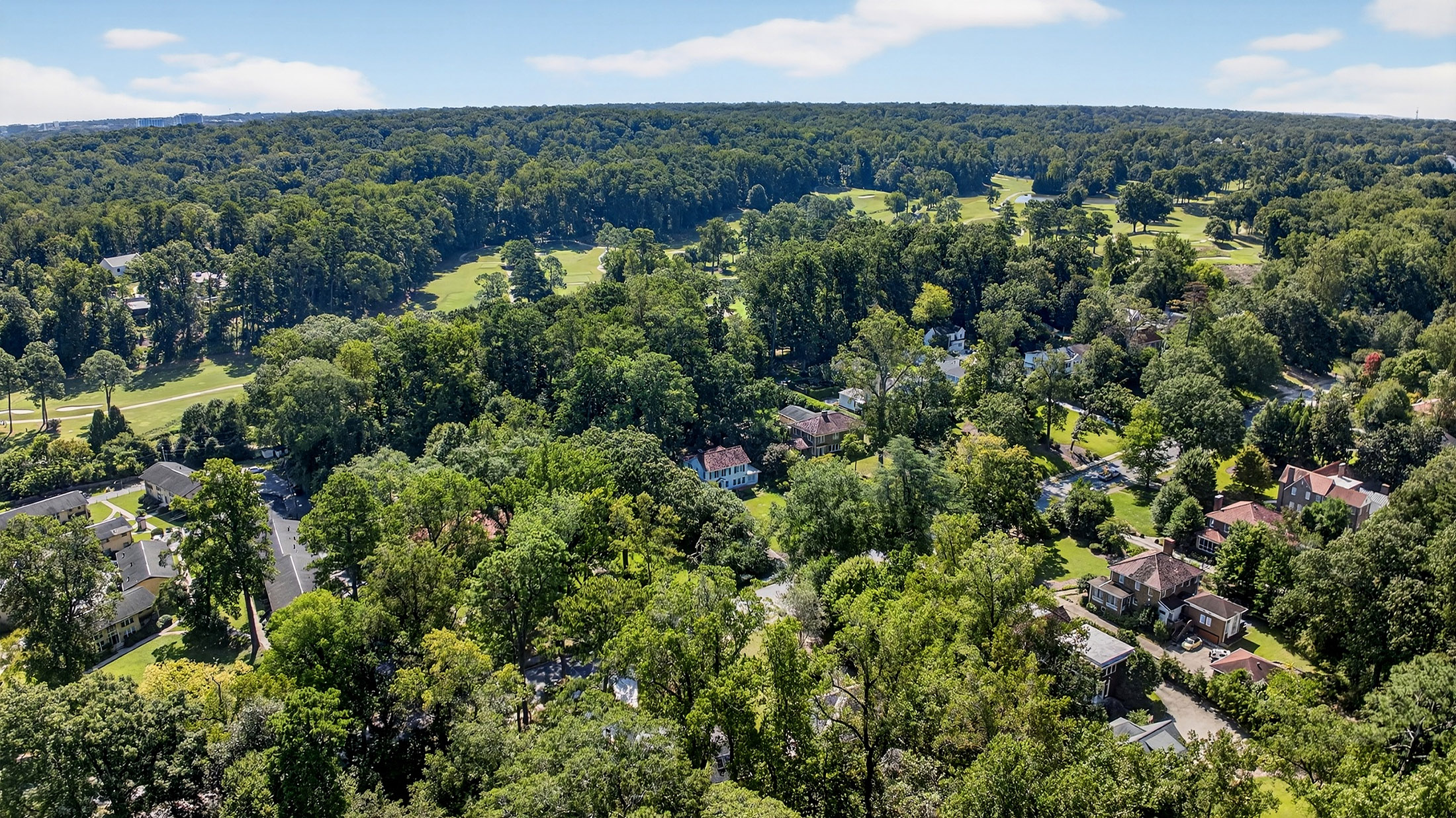 One of a Kind New Construction Home in Prestigious Druid Hills - 物件實景