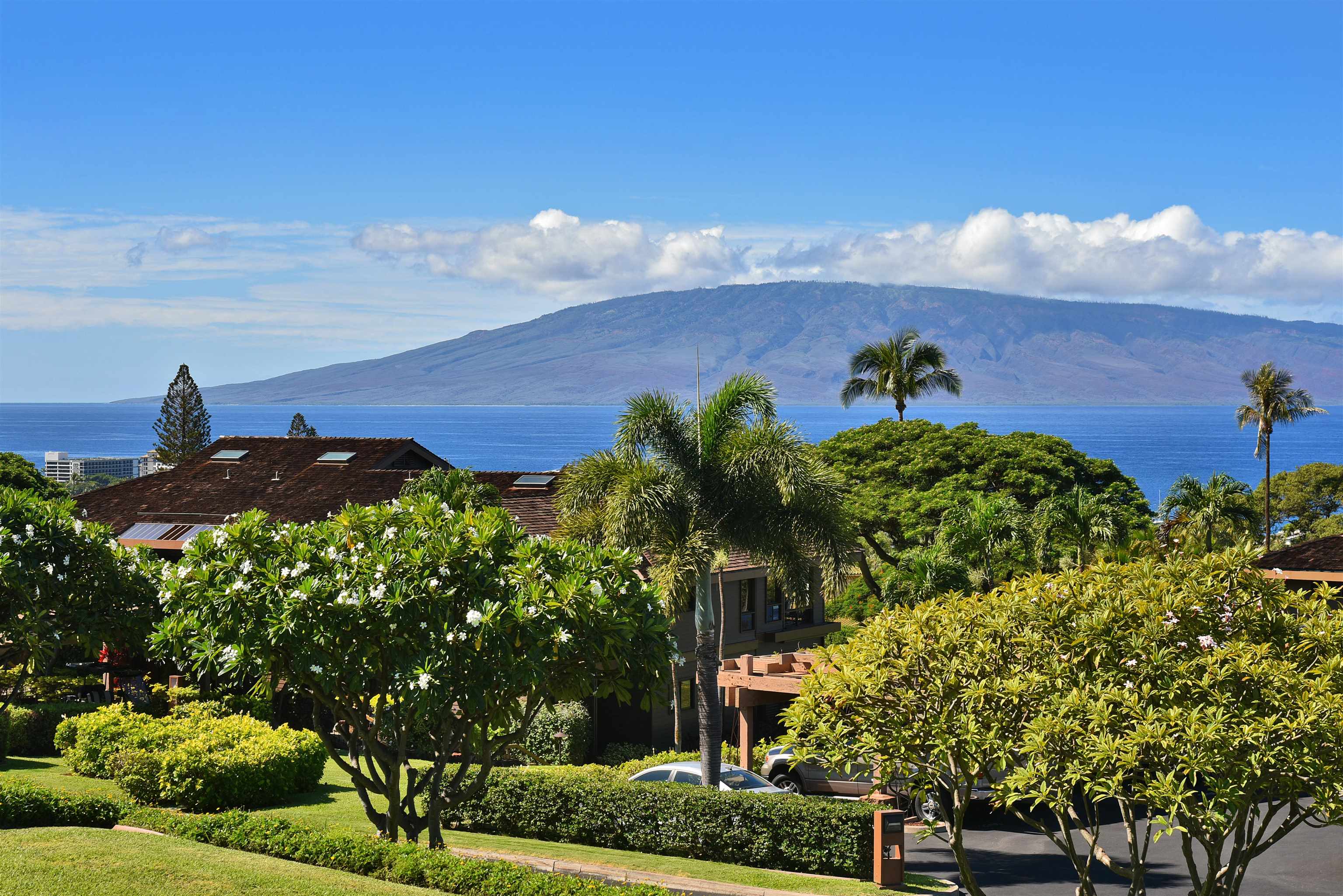 Lahaina, Hawaii, 96761, United States, 1 Bedroom Bedrooms, ,1 BathroomBathrooms,Residential,For Sale,1987609
