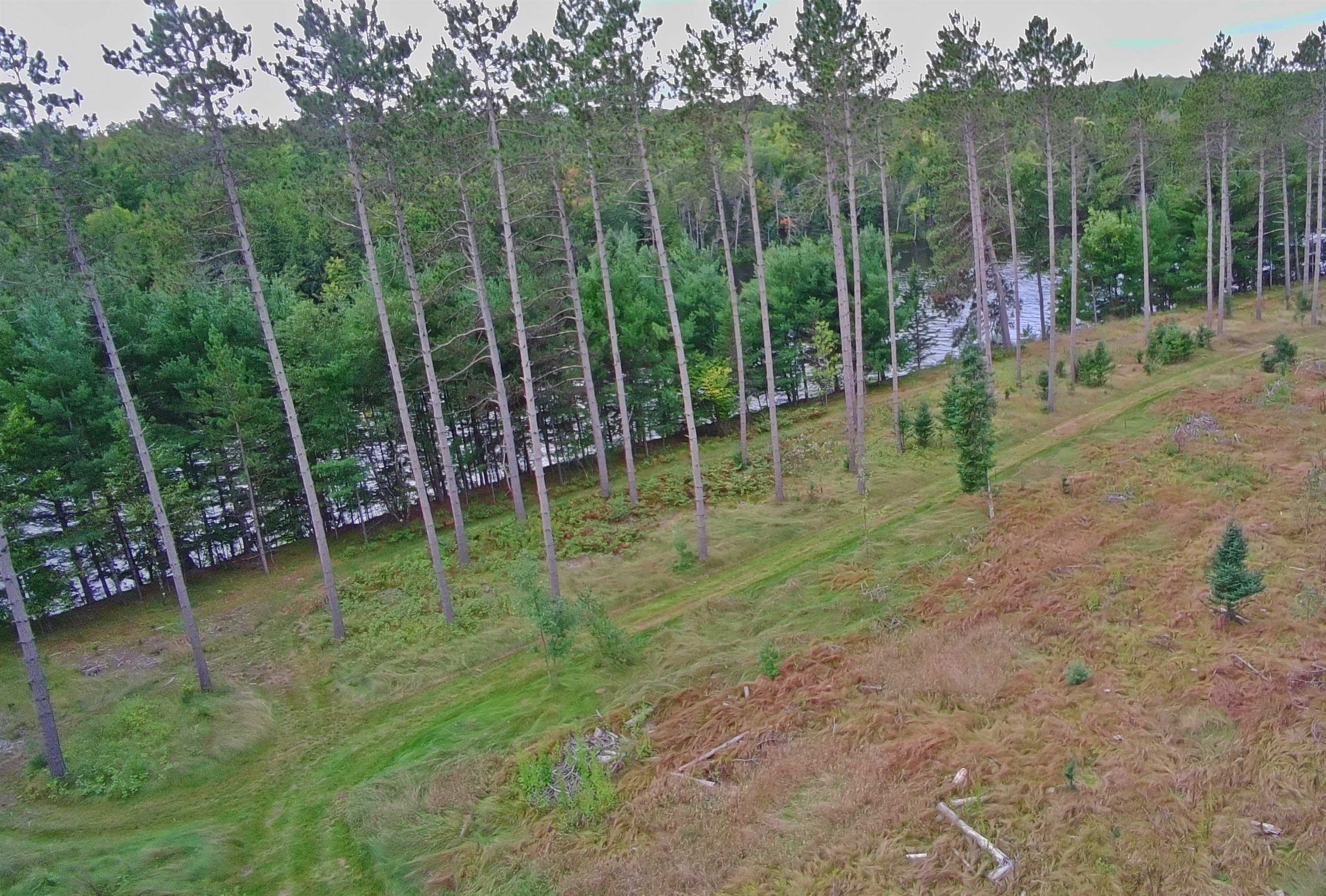 PEMBINE, Wisconsin, 54156, United States, ,Land,For Sale,1951029