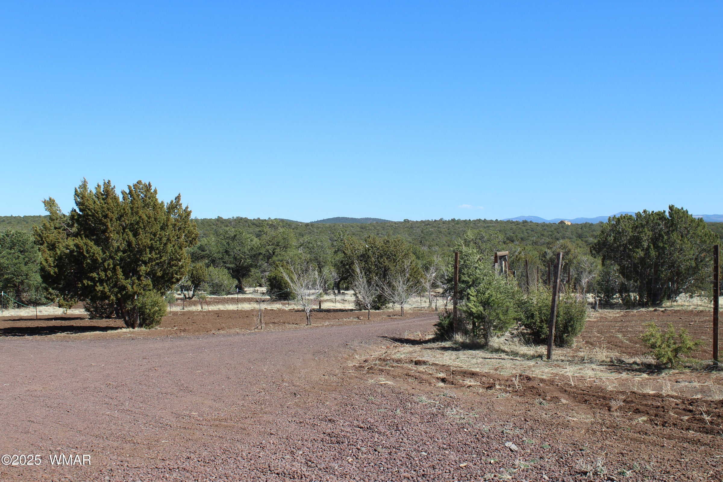 Concho, Arizona, 85924, United States, 4 Bedrooms Bedrooms, ,Residential,For Sale,2005351
