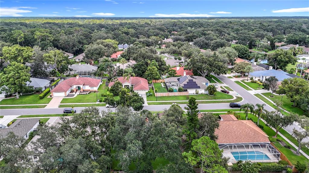 Lutz, Florida, 33549, United States, 4 Bedrooms Bedrooms, ,3 BathroomsBathrooms,Residential,For Sale,1906710