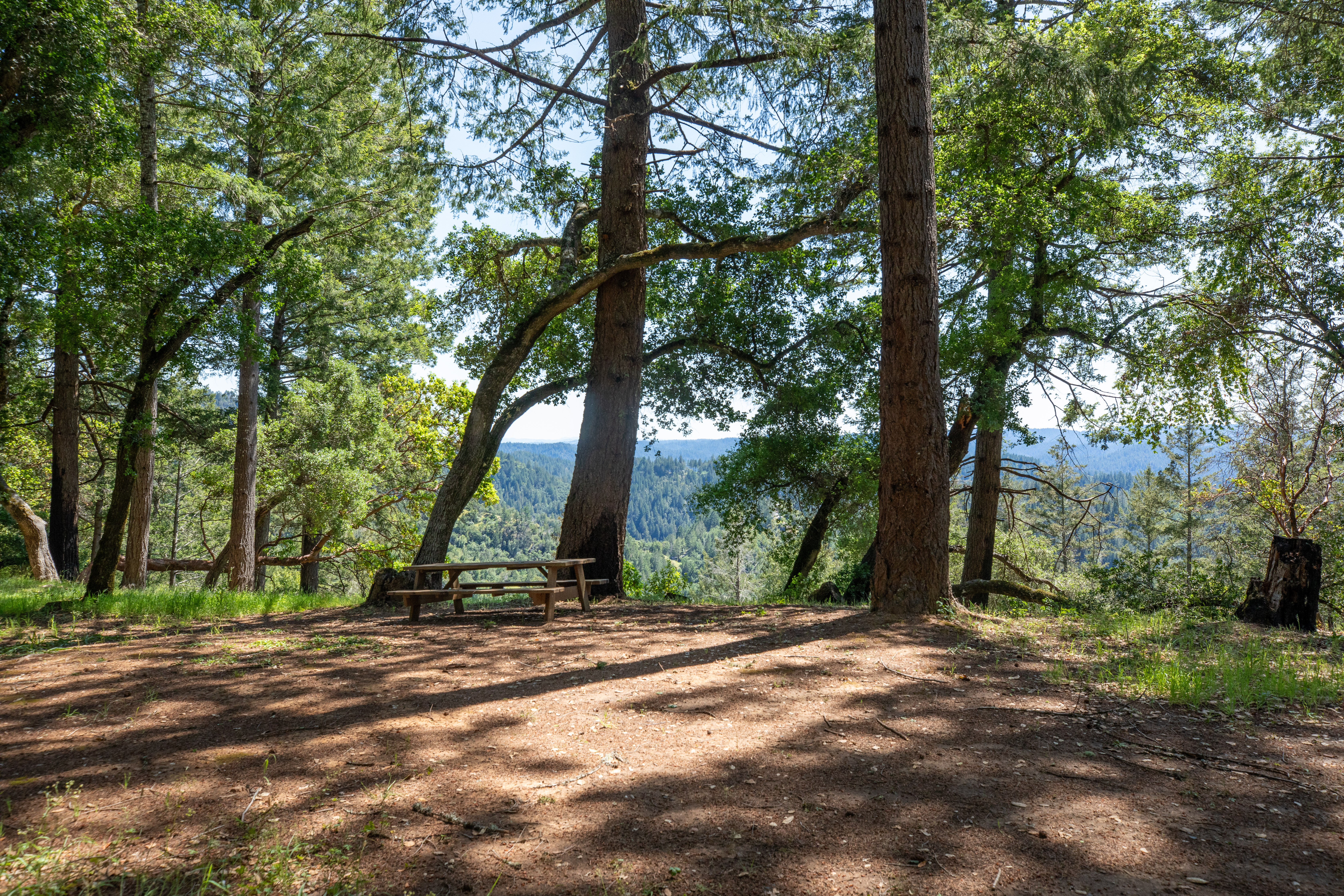  18900 Armstrong Woods Road, Guerneville, CA 95446 - 物件實景
