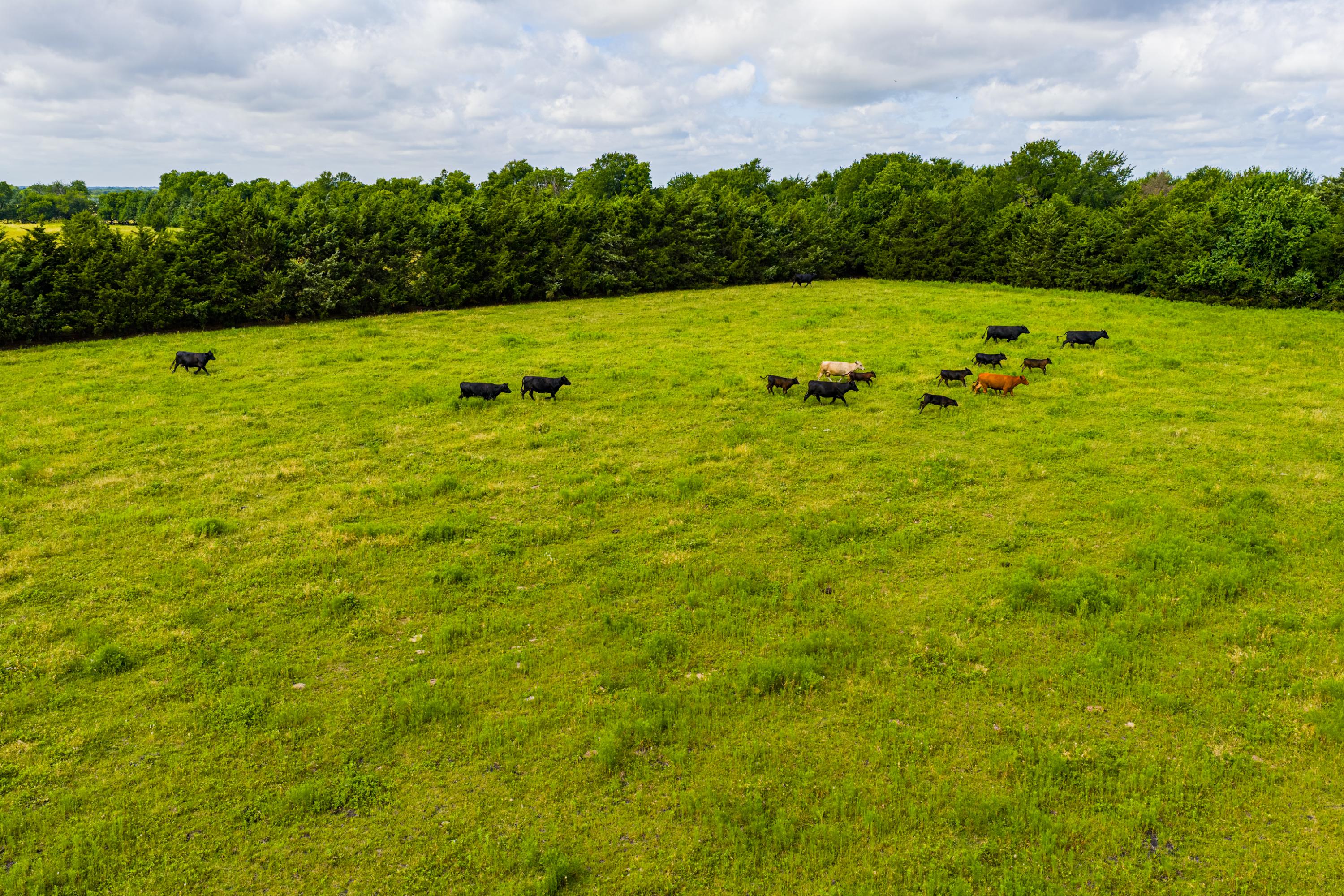  Hickory Creek Ranch - 物件實景