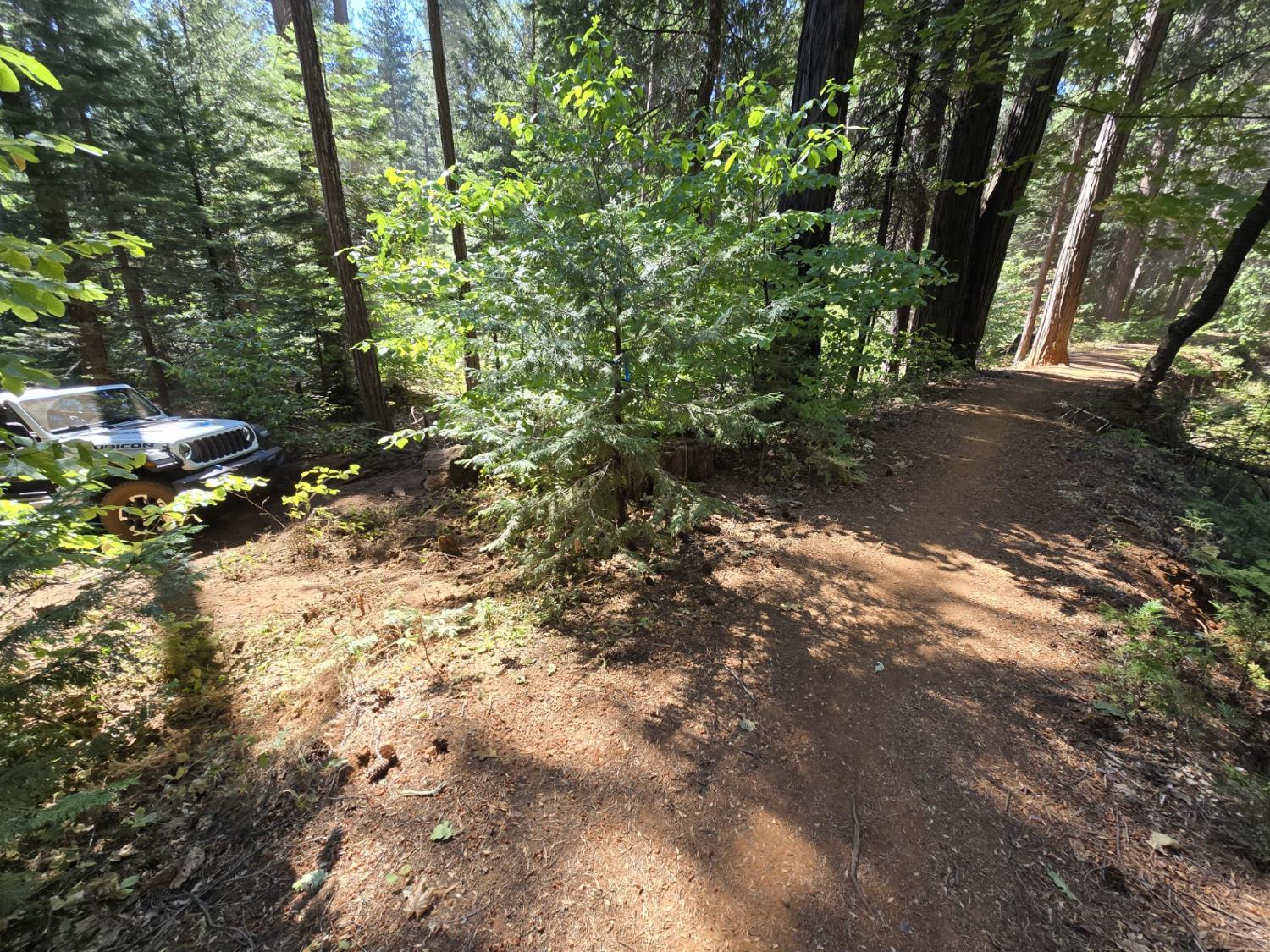 Pollock Pines, California, 95726, United States, ,Residential,For Sale,1982906
