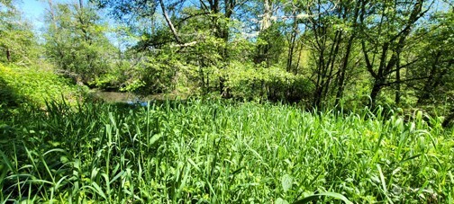 Lake Stevens, Washington, 98258, United States, ,Land,For Sale,1804335