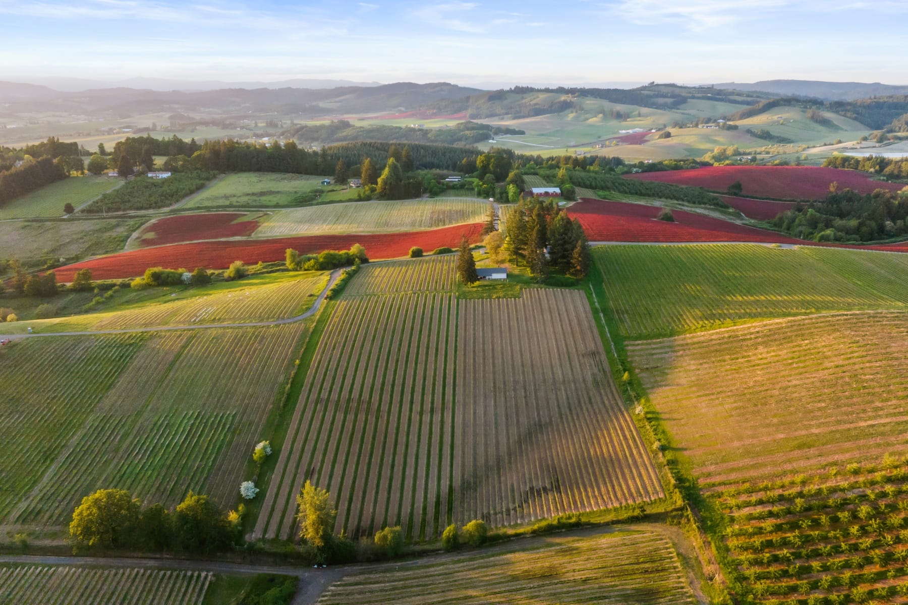  8810 NE BLACKBURN RD Yamhill, OR 97148 - 物件實景