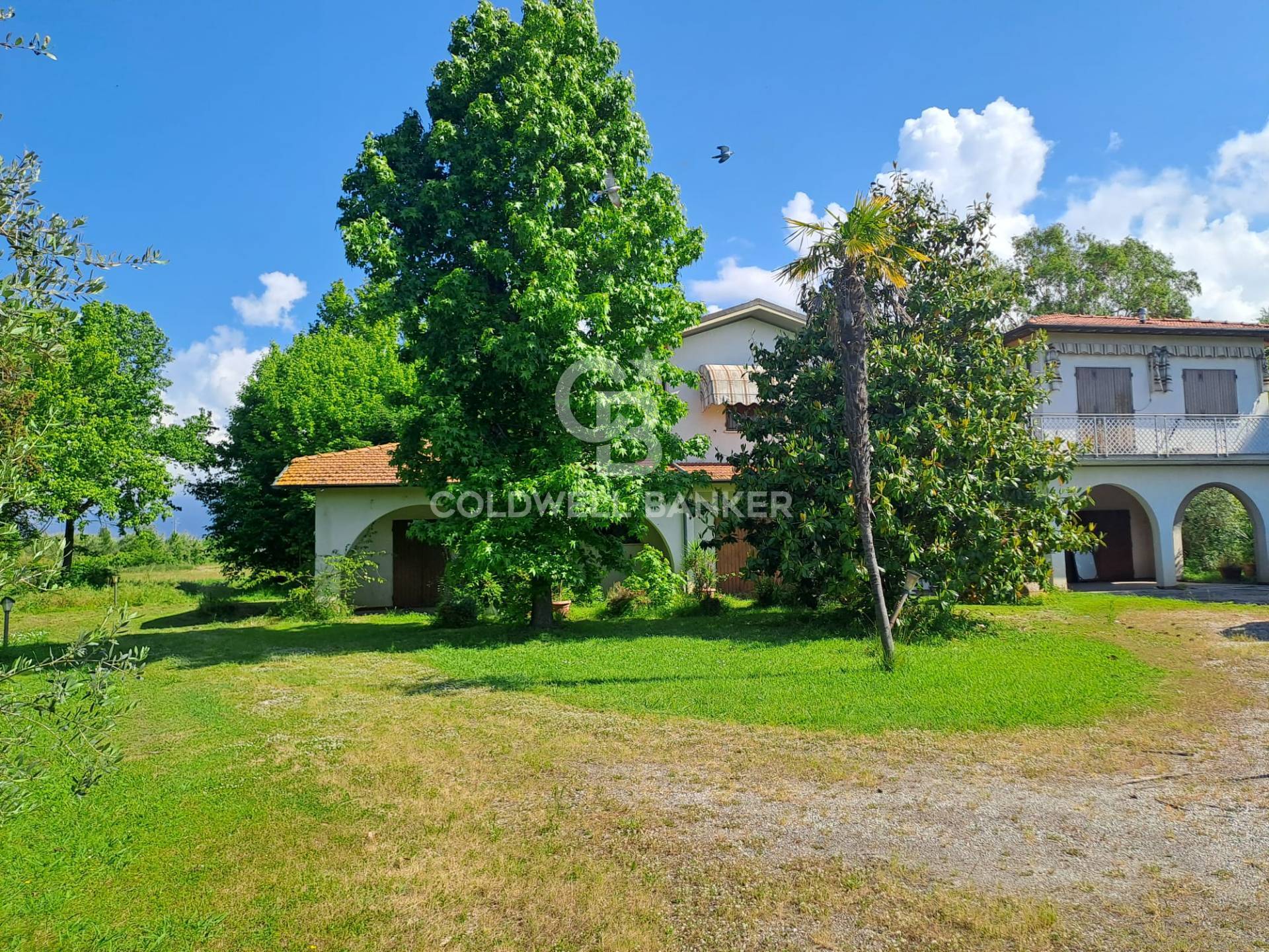 Pietrasanta, Lucca, 55045, IT, 4 Bedrooms Bedrooms, ,4 BathroomsBathrooms,Residential,For Sale,1826439