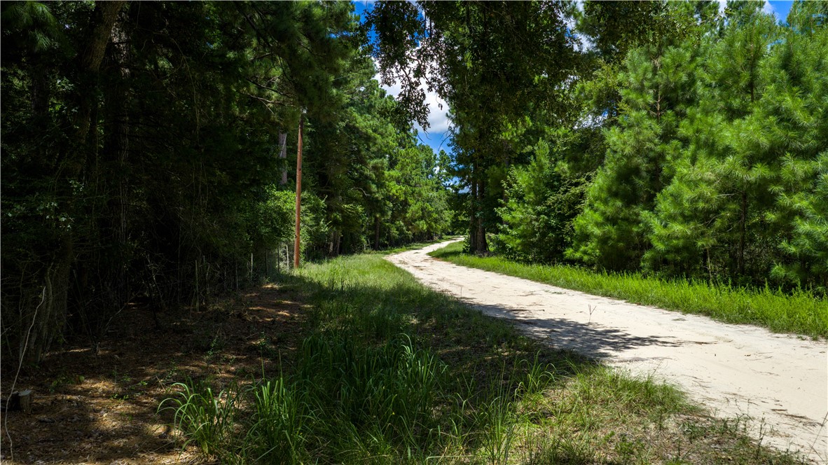 Midway, Texas, 75852, United States, 1 Bedroom Bedrooms, ,1 BathroomBathrooms,Residential,For Sale,1957289