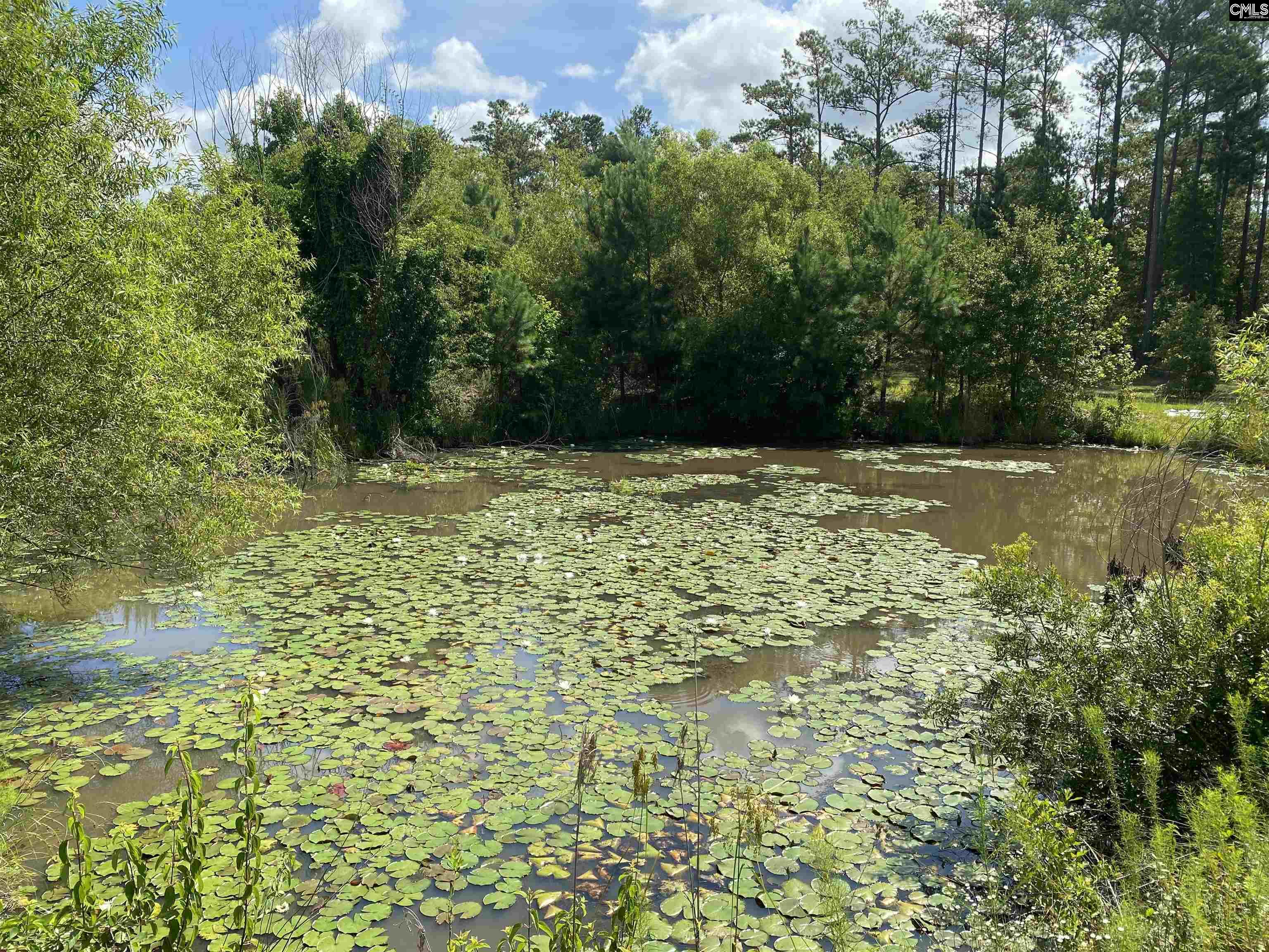 Lugoff, South Carolina, 29072, United States, 2 Bedrooms Bedrooms, ,1 BathroomBathrooms,Residential,For Sale,1897320