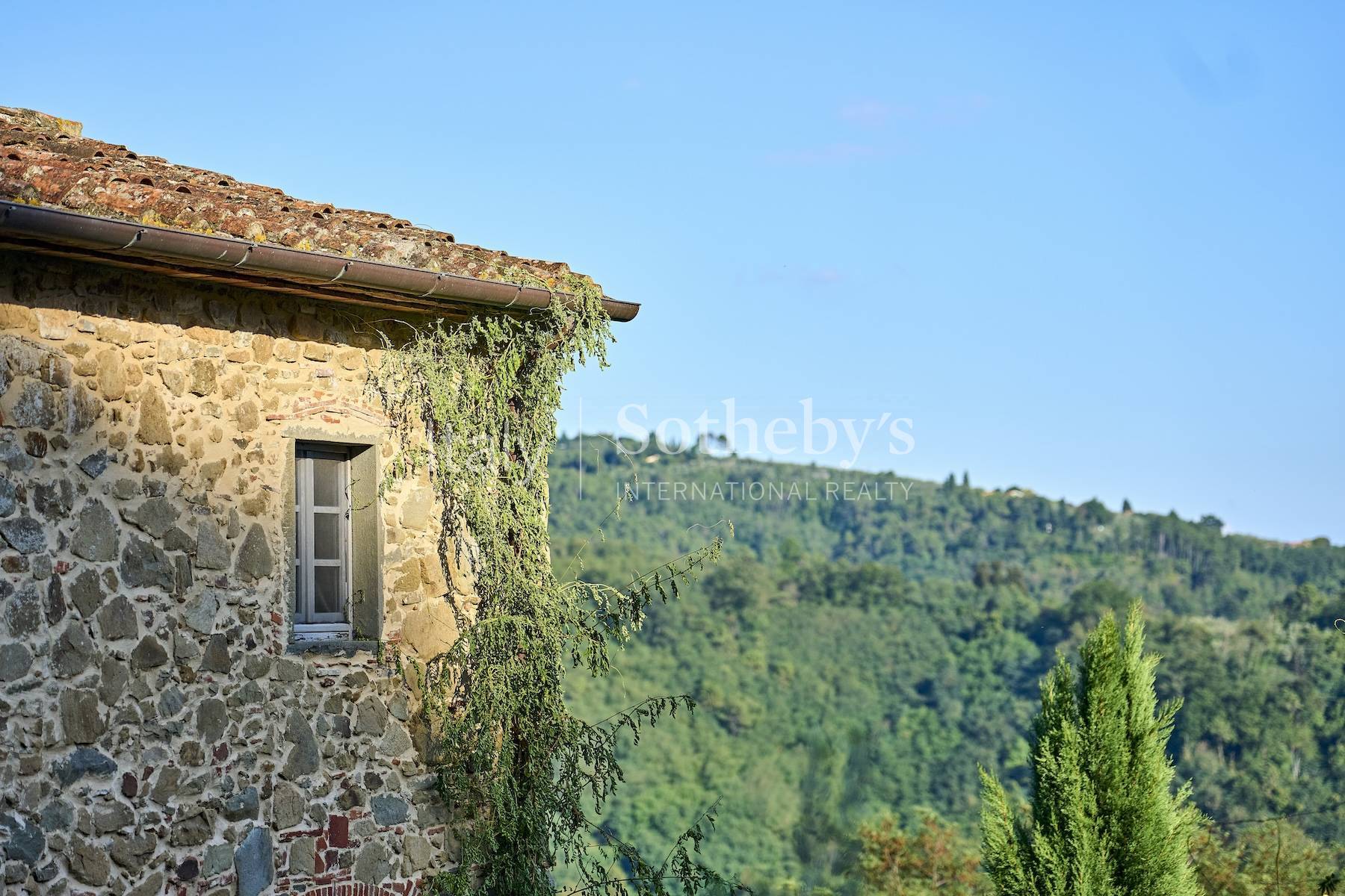  Authentic estate in the tuscan countryside - 物件實景