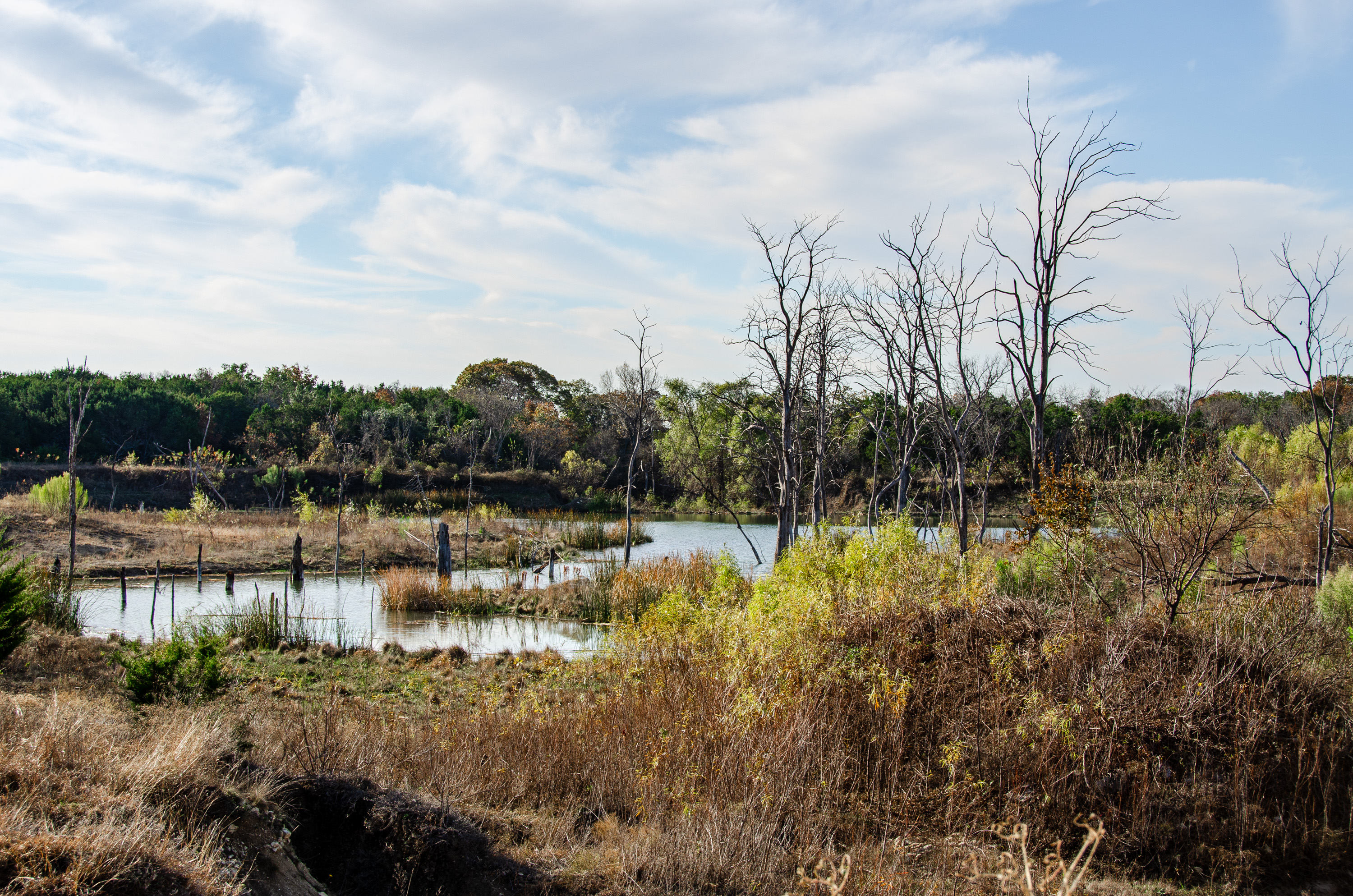  Duck Haven Ranch - 物件實景