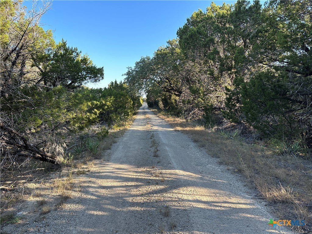 Salado, Texas, 76571, United States, ,Residential,For Sale,1974591