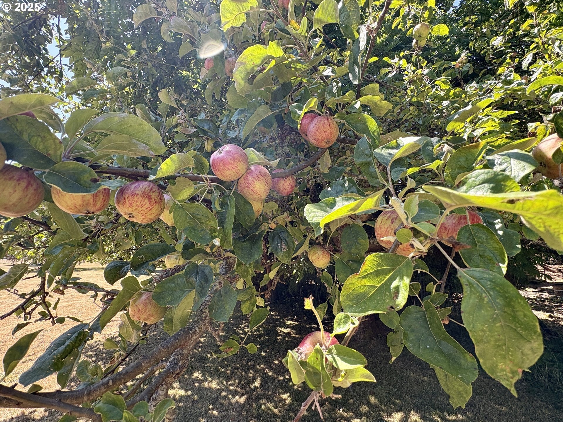 Gold Beach, Oregon, 97444, United States, 4 Bedrooms Bedrooms, ,3 BathroomsBathrooms,Residential,For Sale,1978600