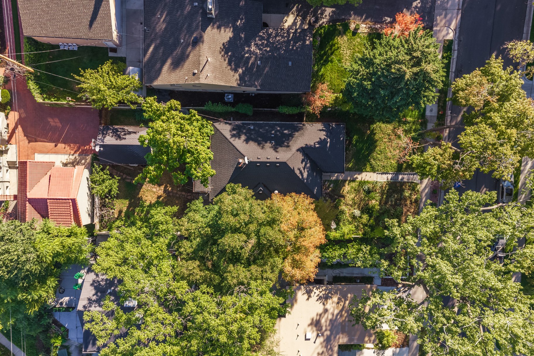  Classic Yale Avenue Bungalow in the Heart of Gilmer Park - 物件實景