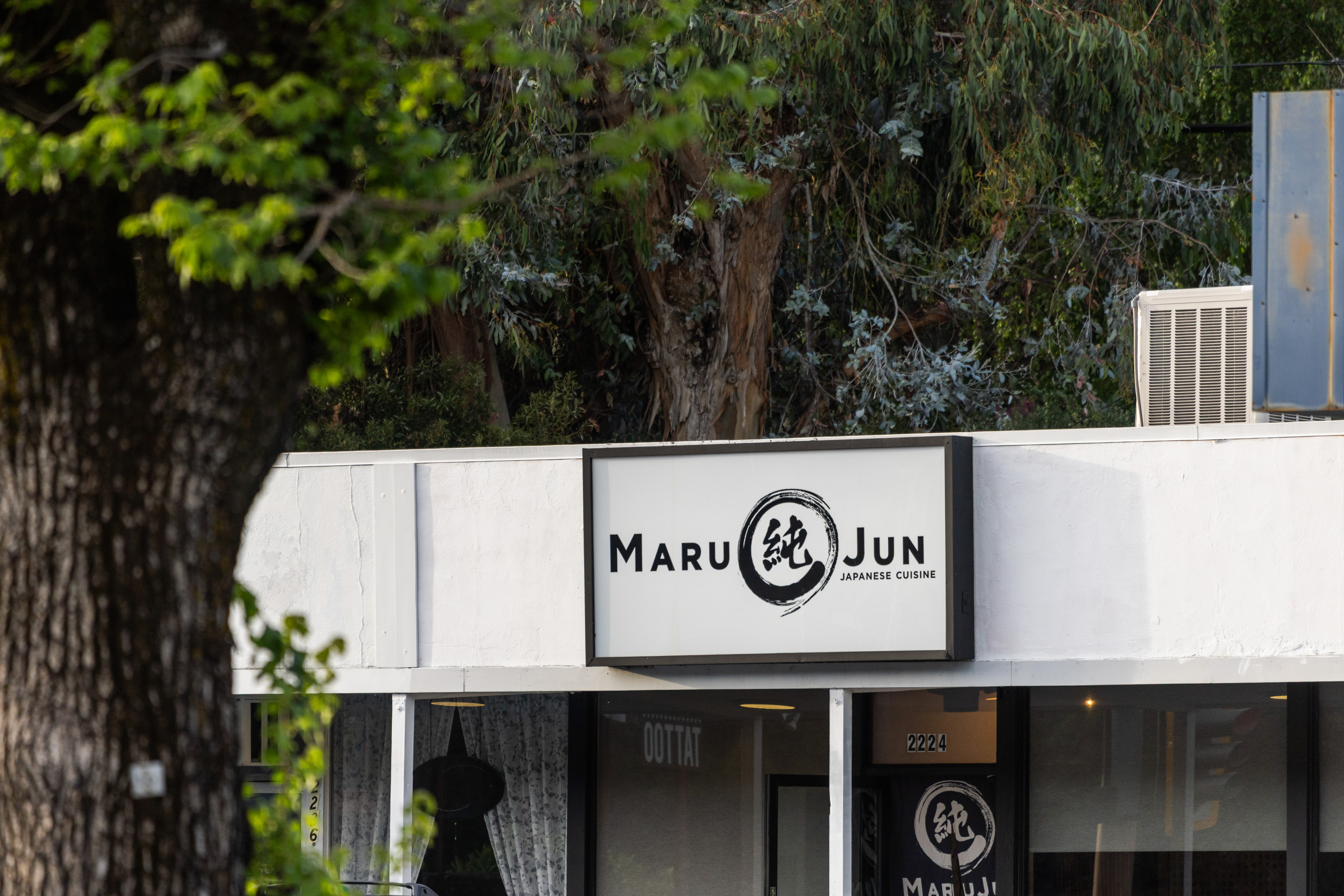  Mid-Century Design and Natural Tranquility in San Rafael’s West End - 物件實景