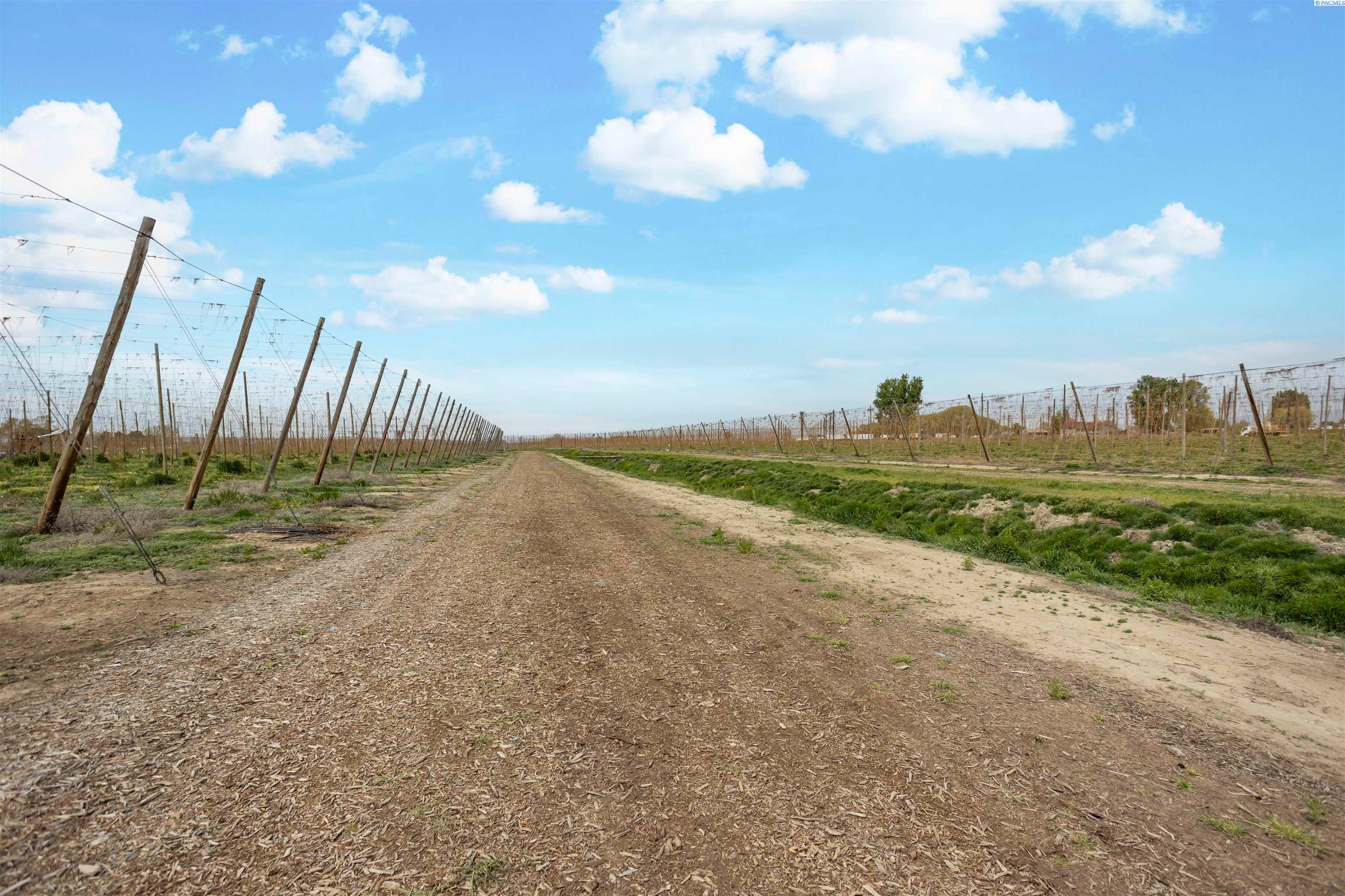 Grandview, Washington, 98930, United States, ,Land,For Sale,1976550