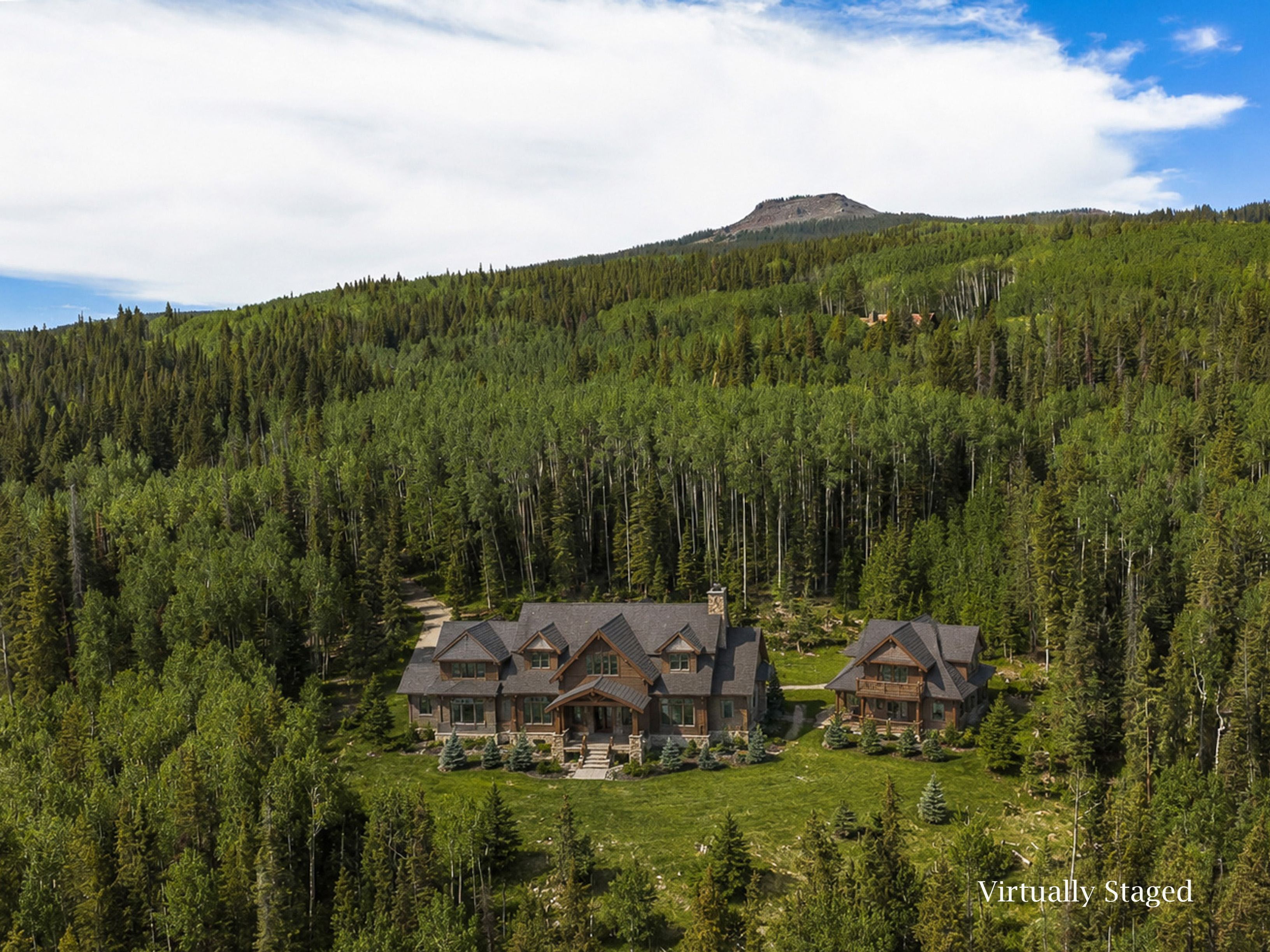 141 White Buffalo Trail, Crested Butte, CO, 81224 - 物件實景