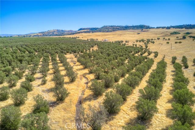 Oroville, California, 95965, United States, ,Land,For Sale,1978815