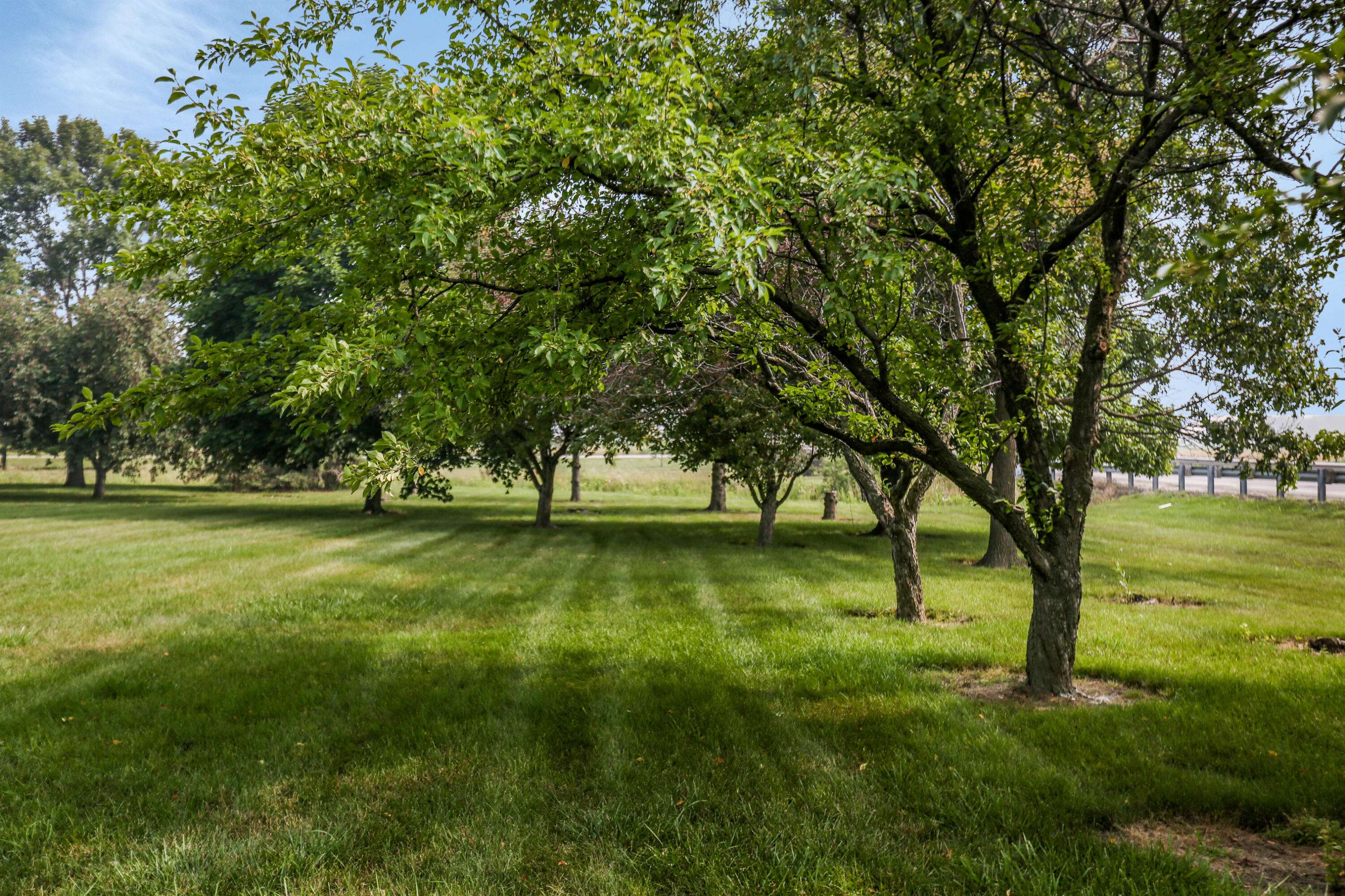 Ida, Michigan, 48140, United States, 4 Bedrooms Bedrooms, ,3 BathroomsBathrooms,Residential,For Sale,1973909